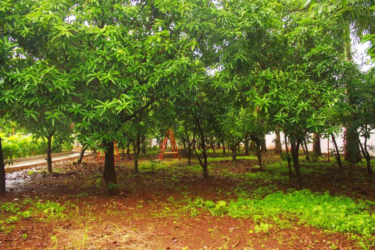 KD AAMRAI FARM 2BHK HOUSE view 2
