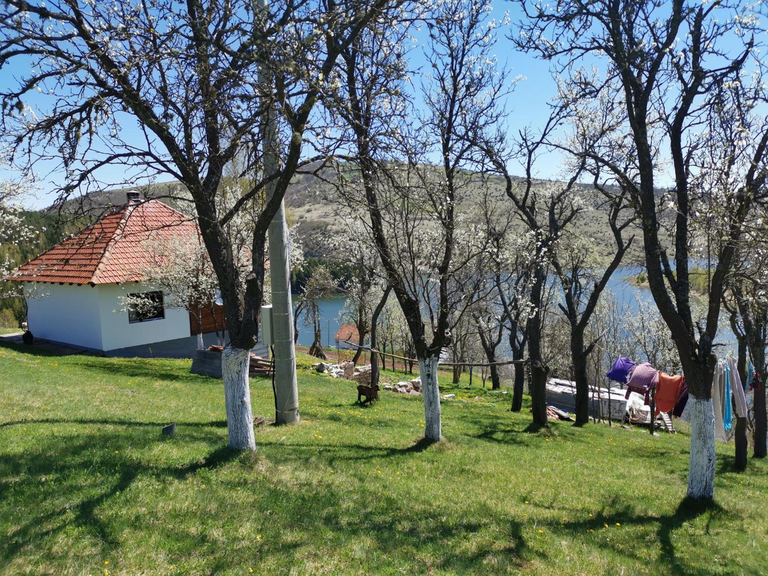 Photo 23