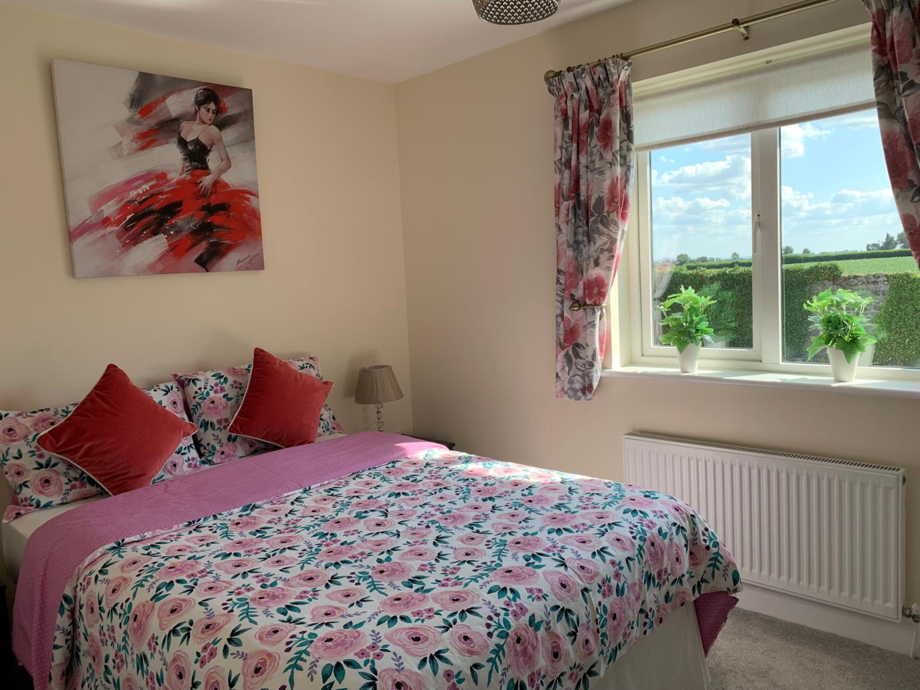 Two Bedroom Town House Beside The River Barrow view 3