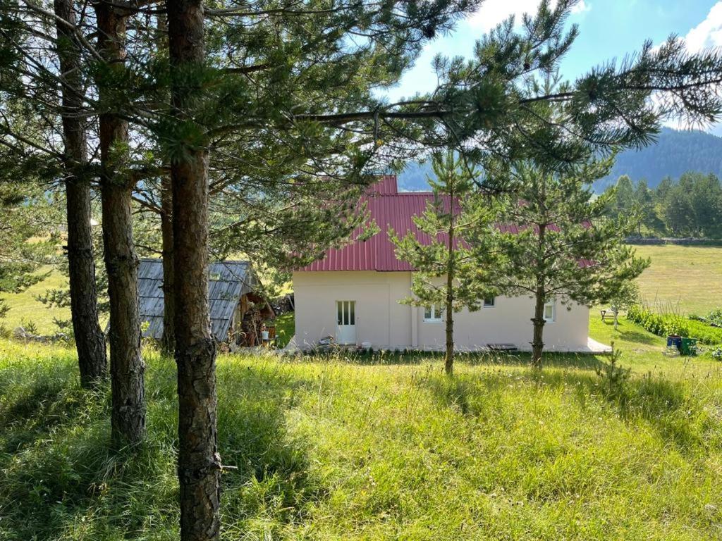 Apartman Bojovic