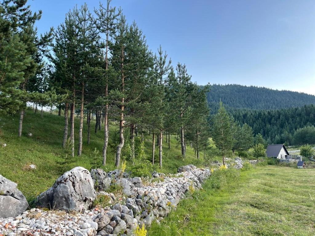 Apartman Bojovic