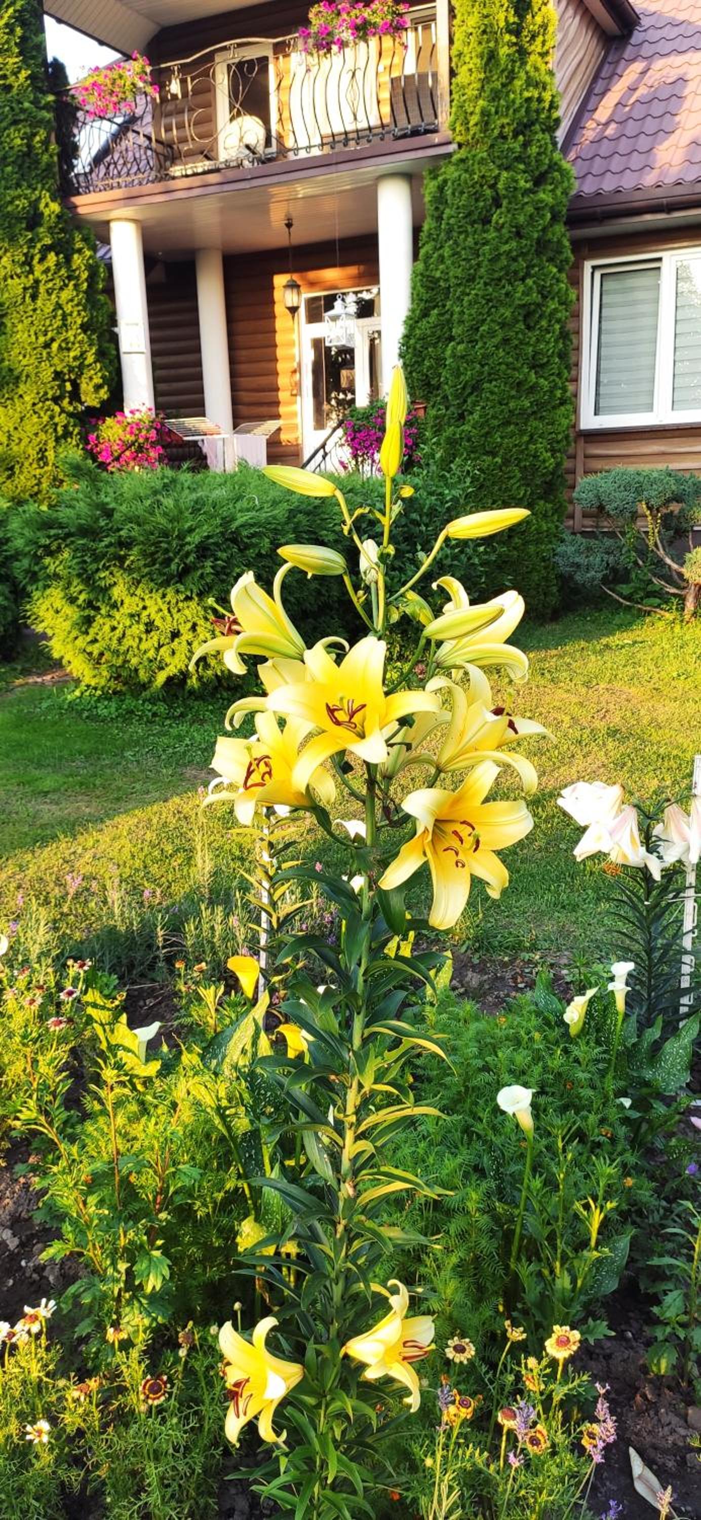 Photo 10