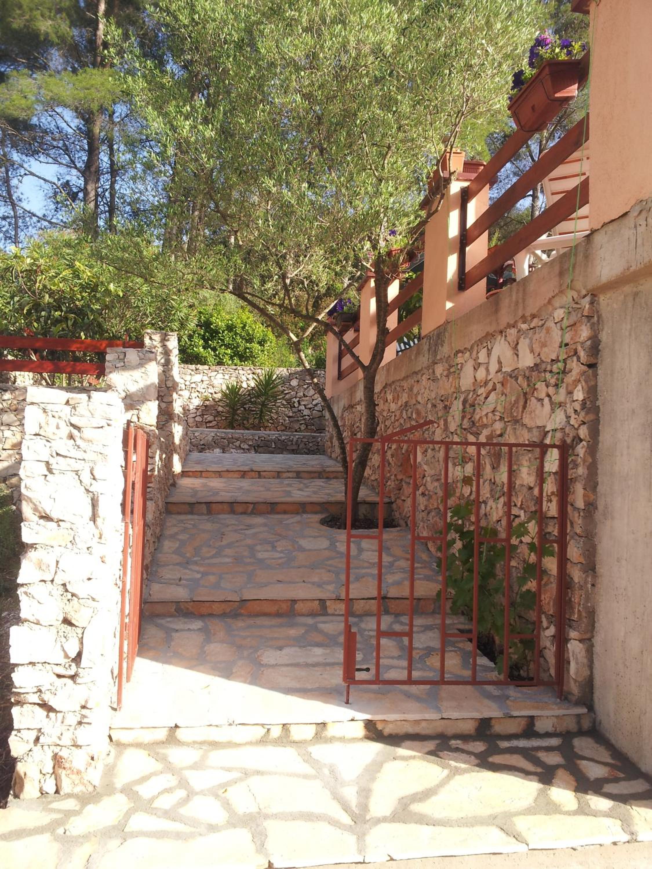Photo 27