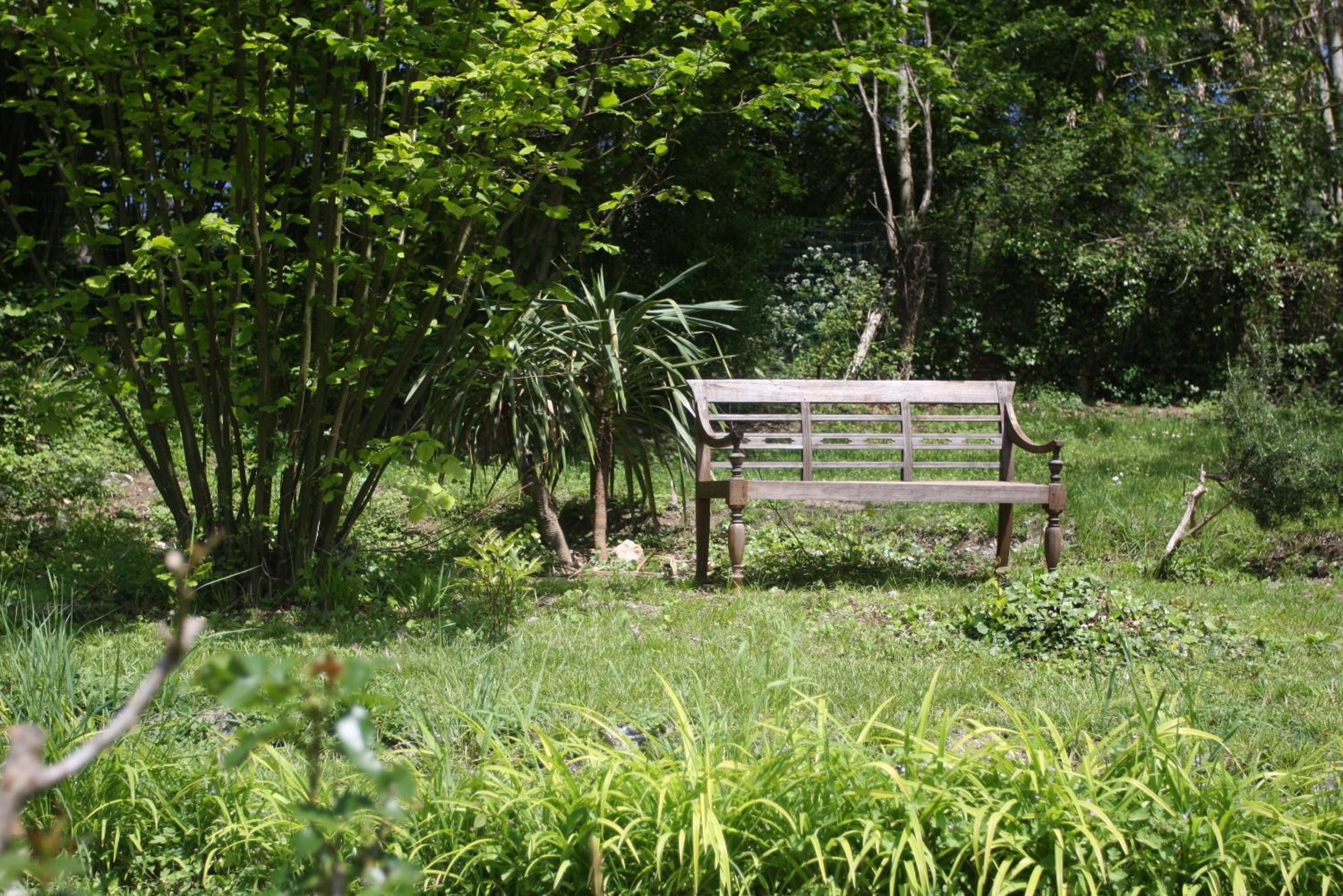 Photo 42