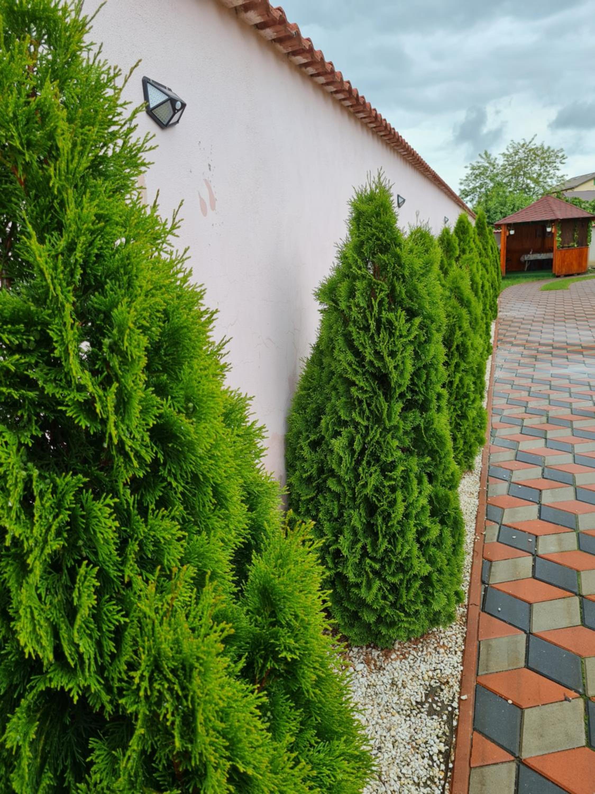 Vila NICHOLAS view 2