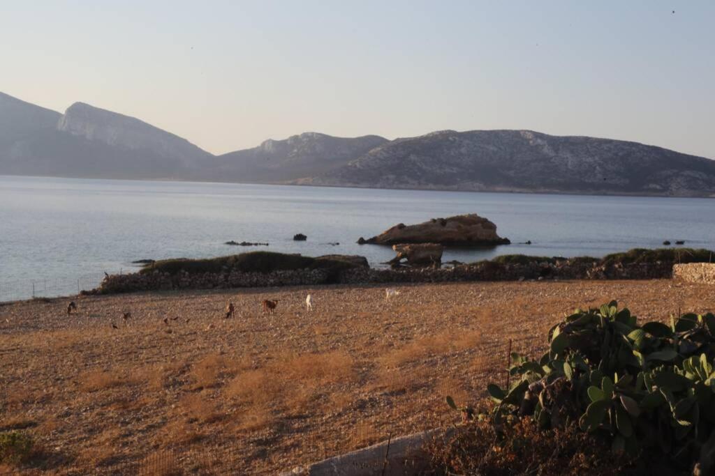 Photo 30