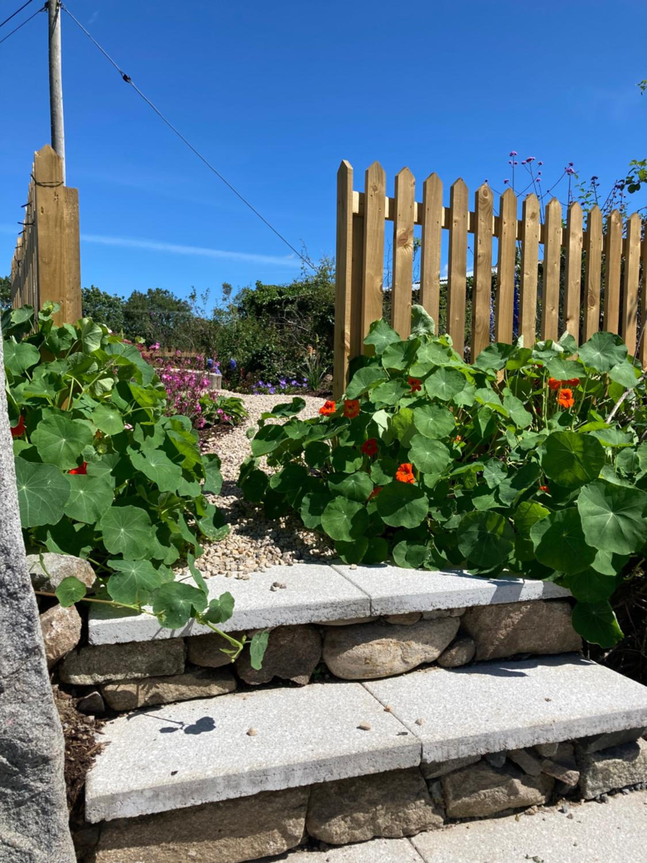 Hotel Bramble Cottage