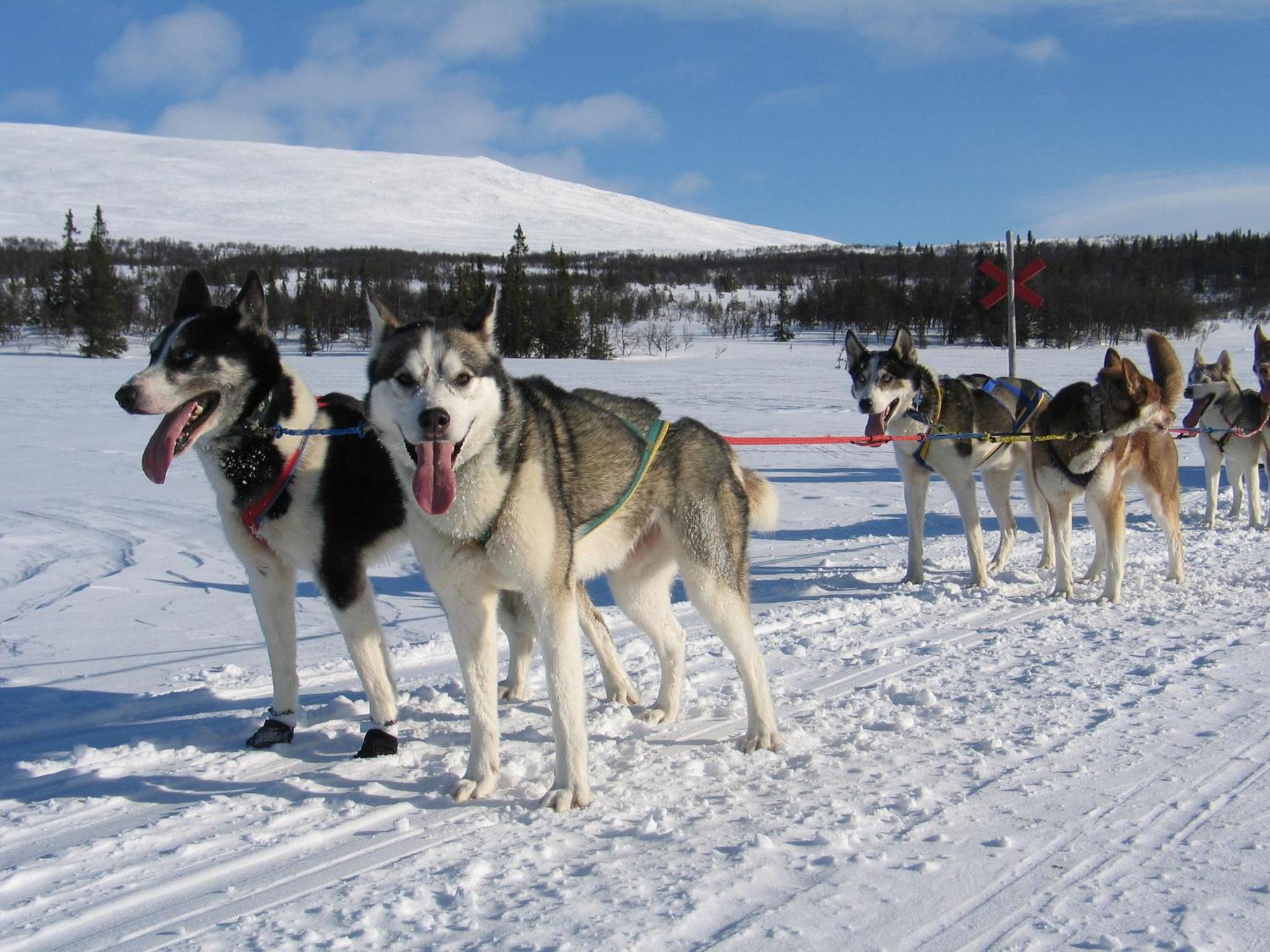 Galå Fjällgård