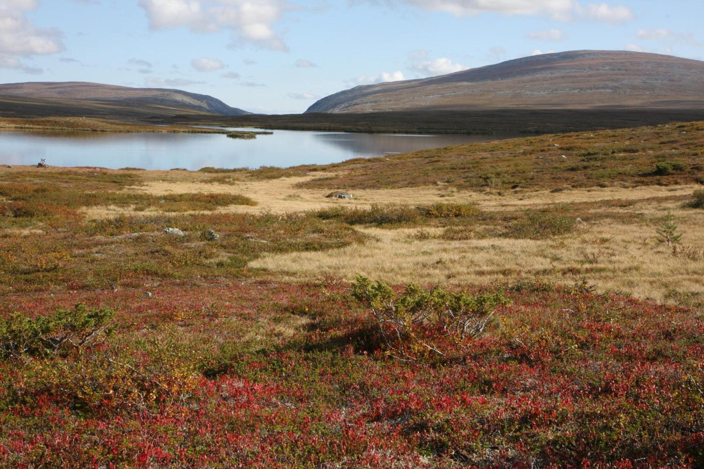 Galå Fjällgård