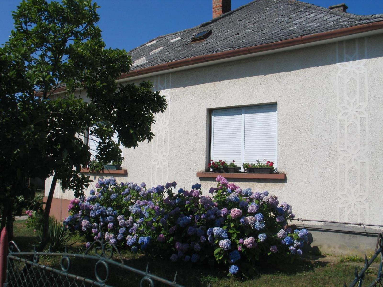 Photo 43