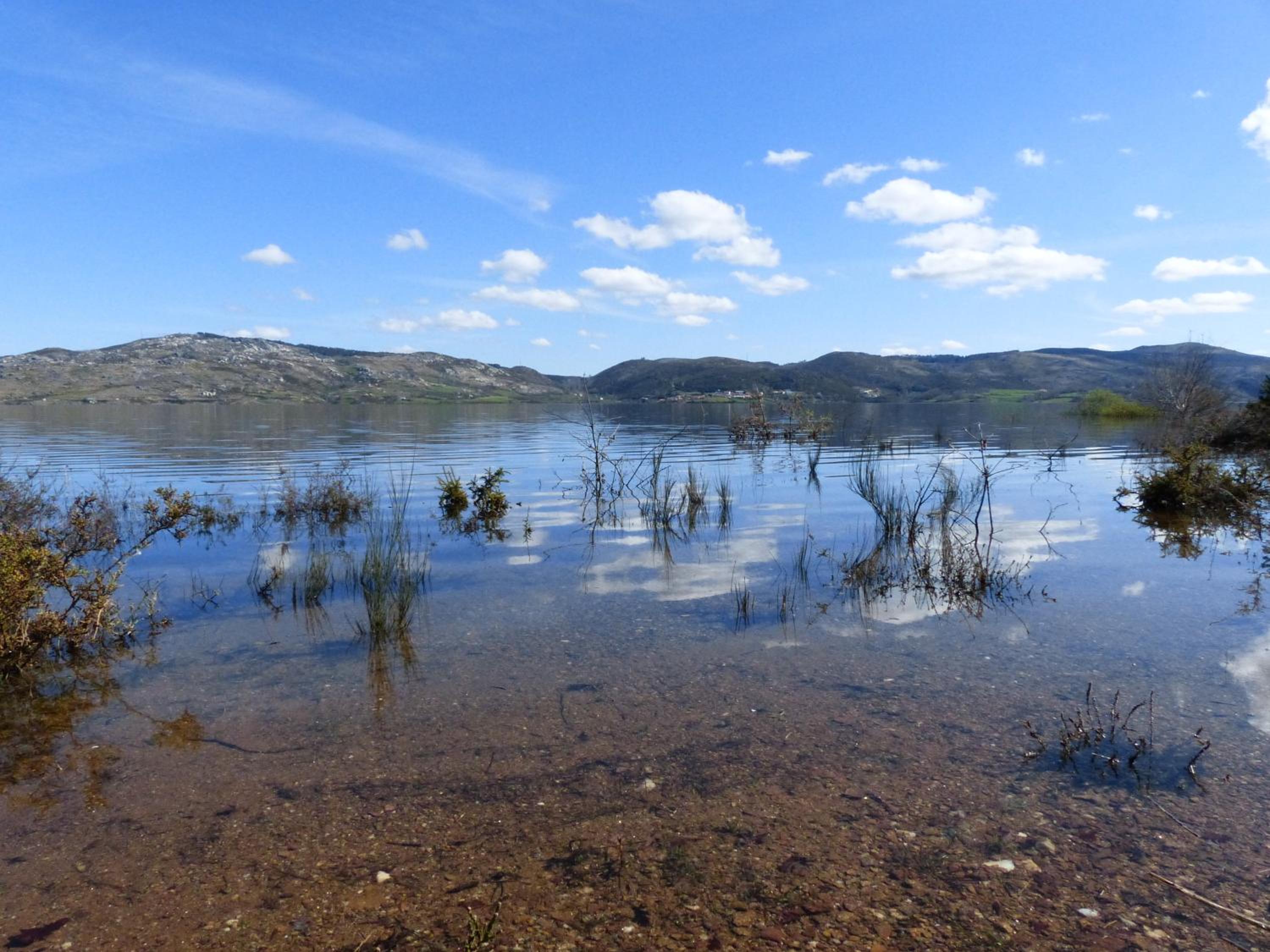 Photo 60
