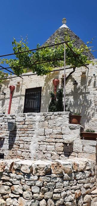 Photo 46