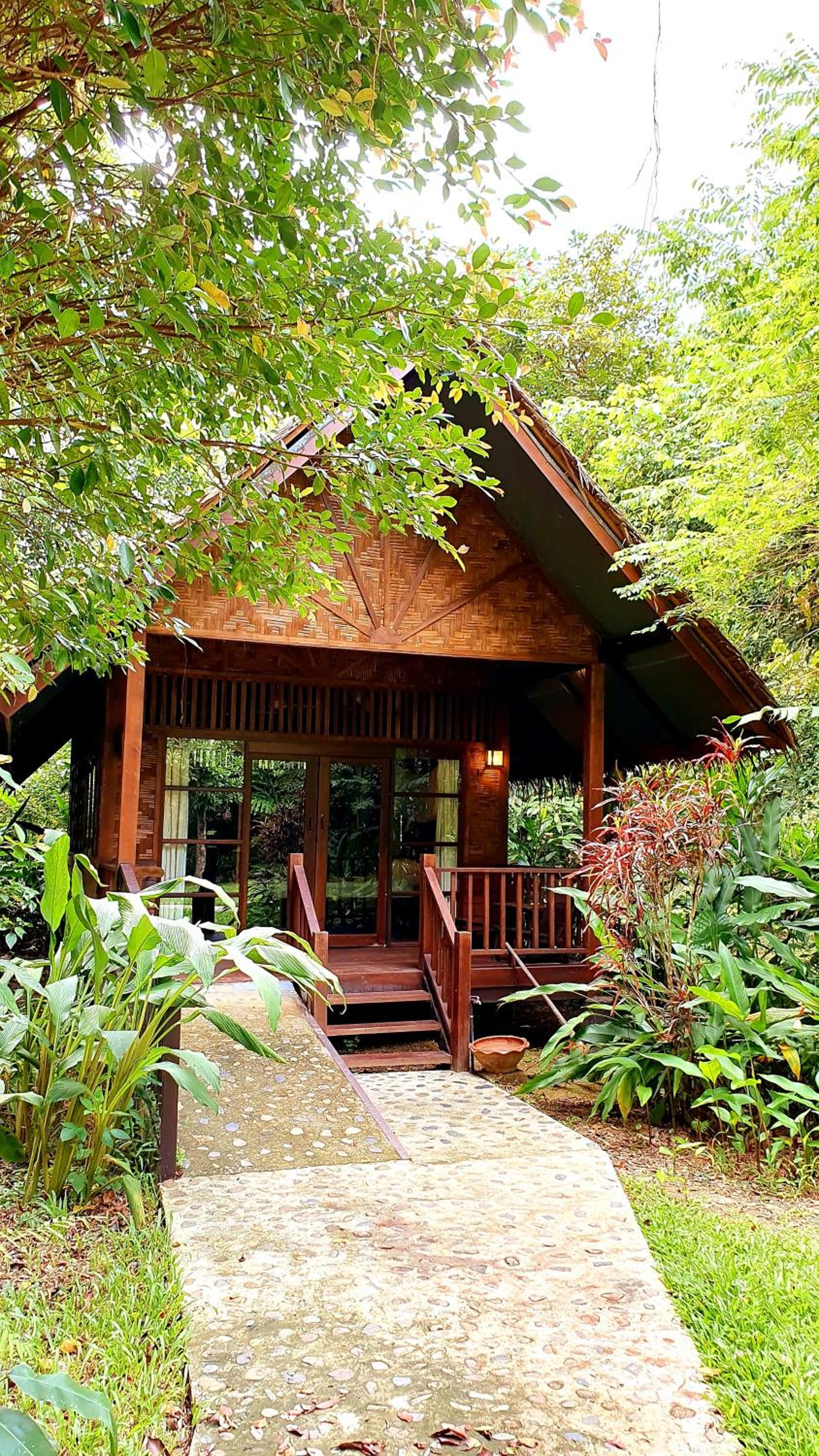 Our Jungle House