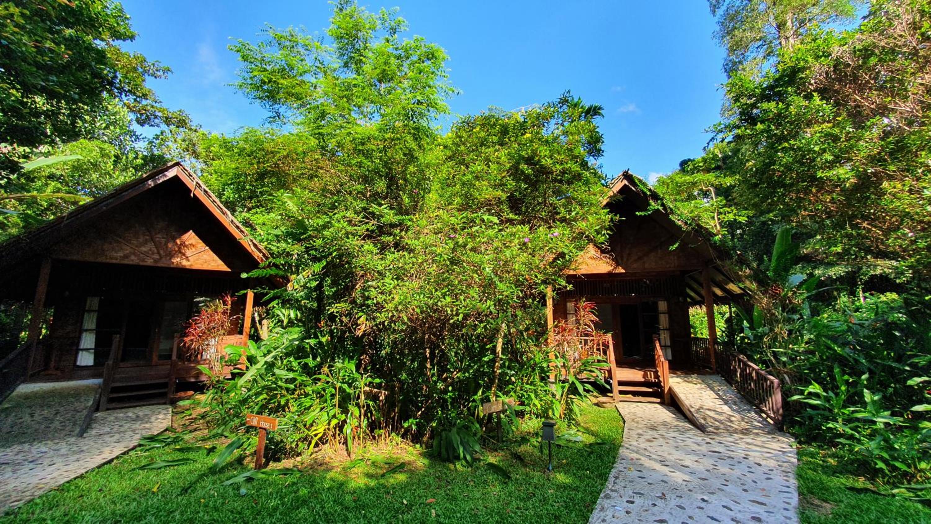 Our Jungle House