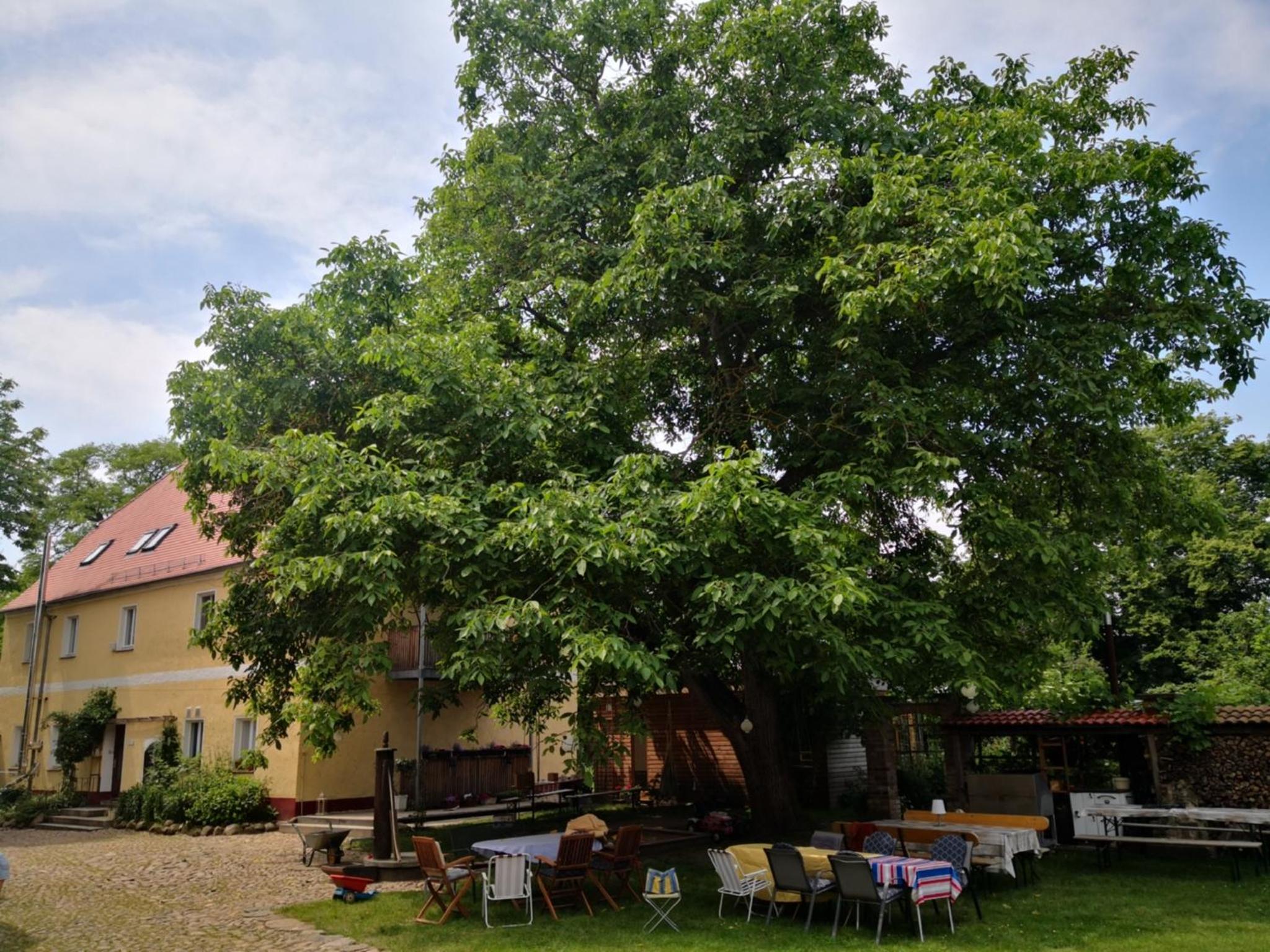 Gästehaus Liemehna