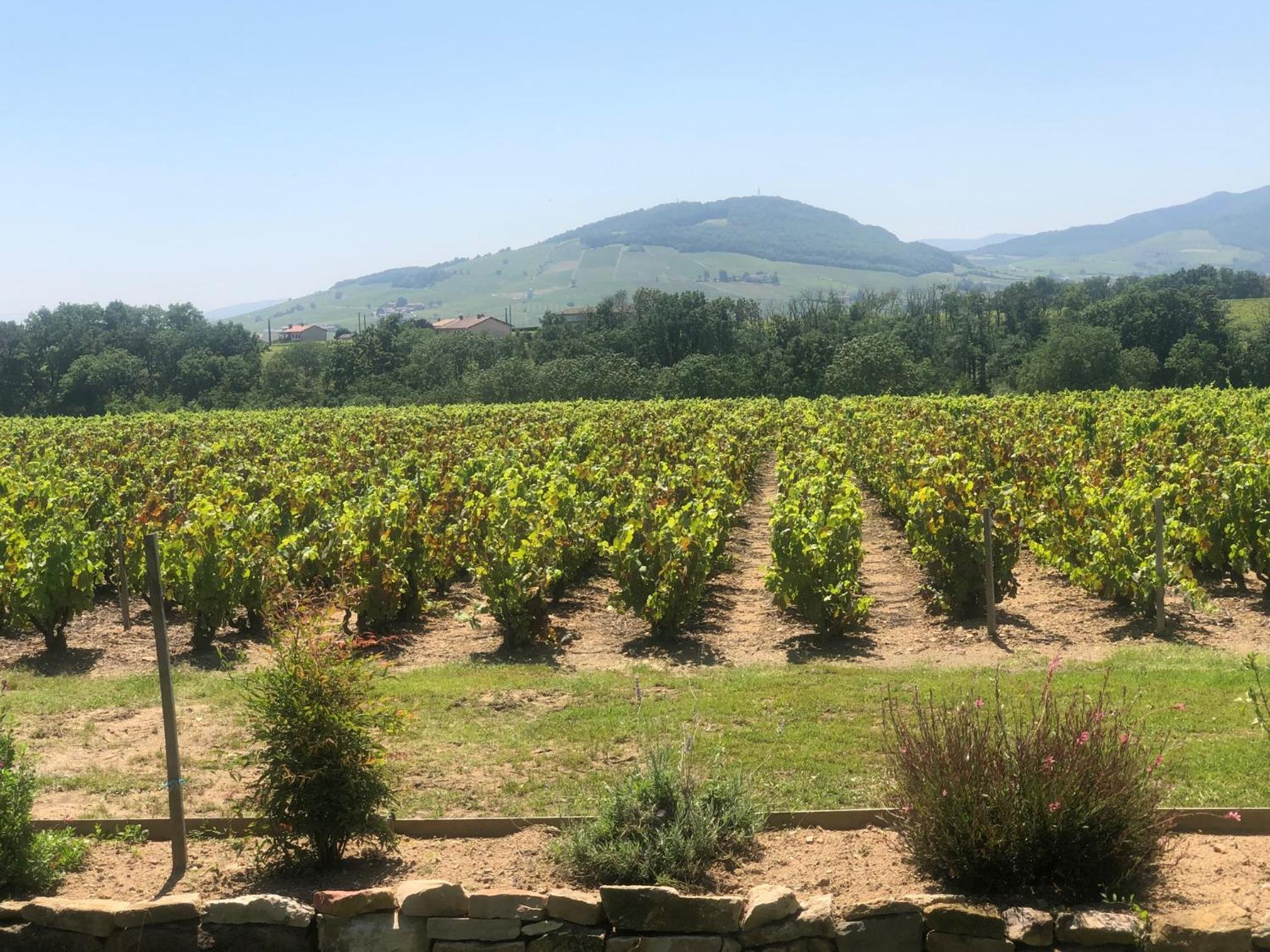 La Gatille view 3