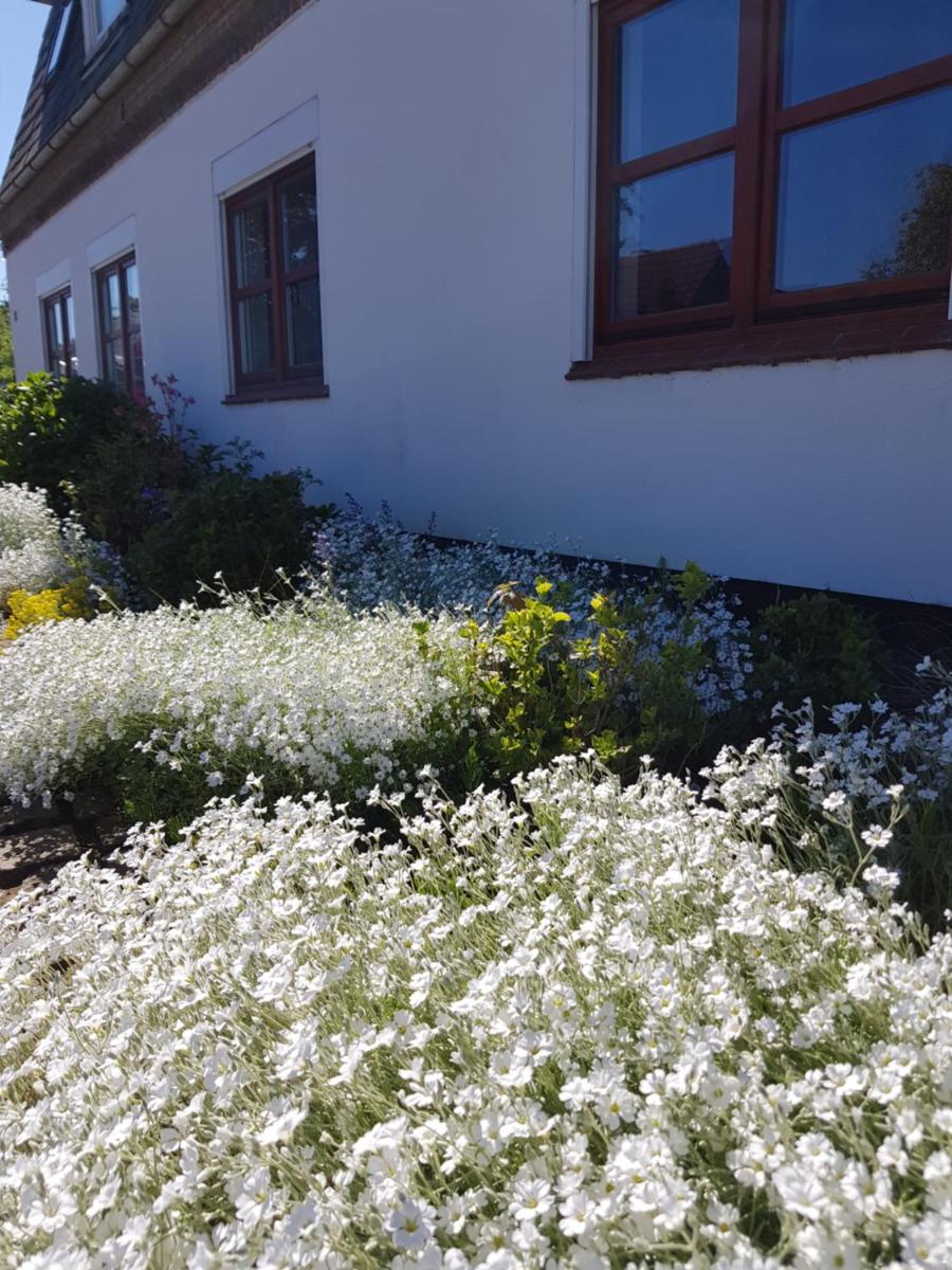 Ferienhaus Loose