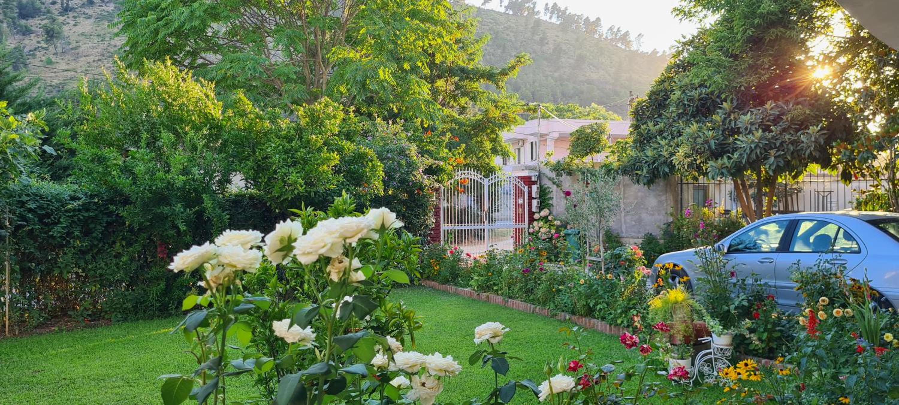 Veranda B&B