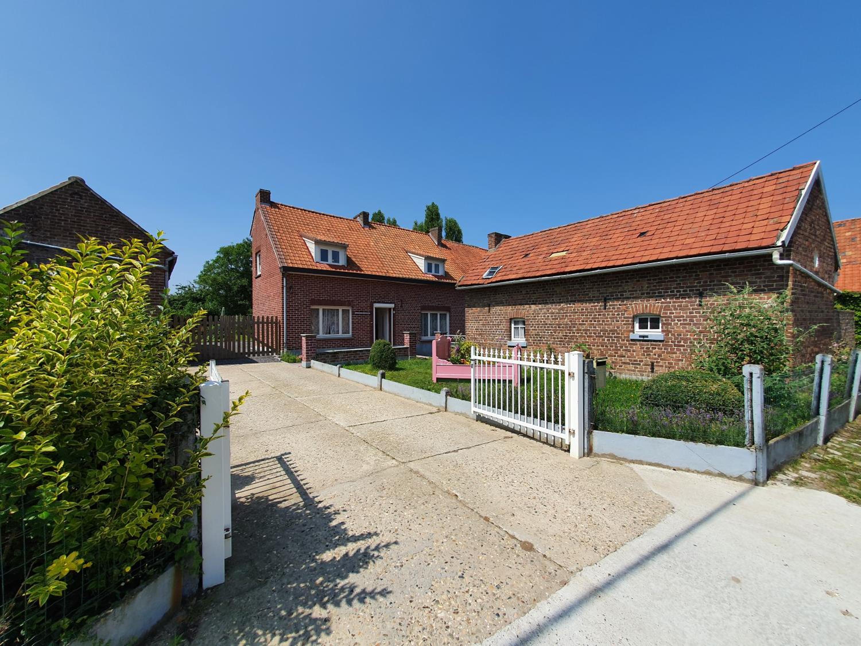 Haspengouws Hoeveke