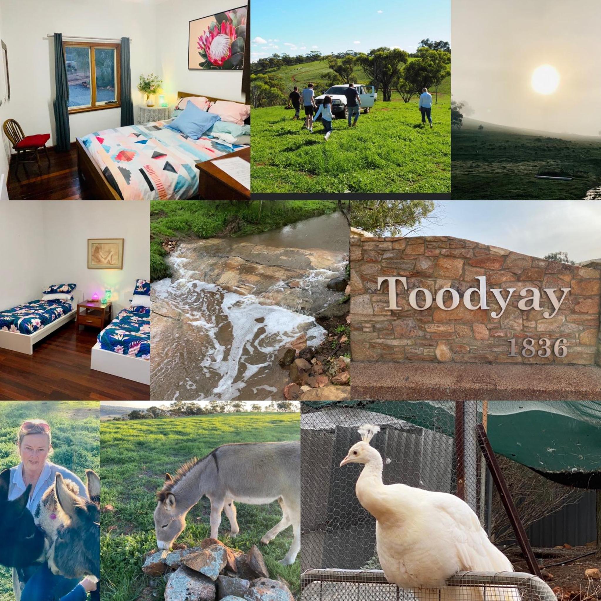 Sandalwood Downs Fabulous Farm Stay TOODYAY