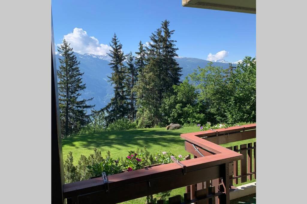 Appartement familial cosy - 2 à 6 personnes view 5