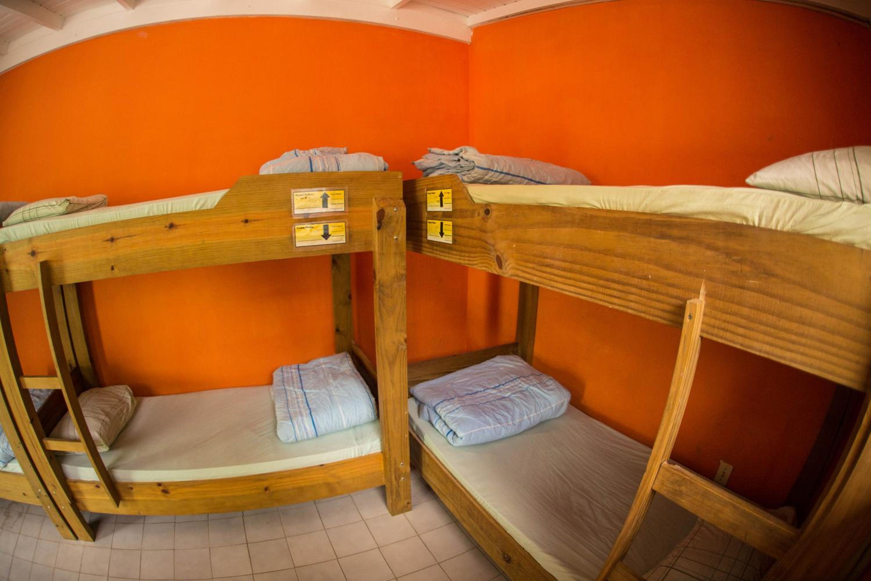 Geckos Hostel