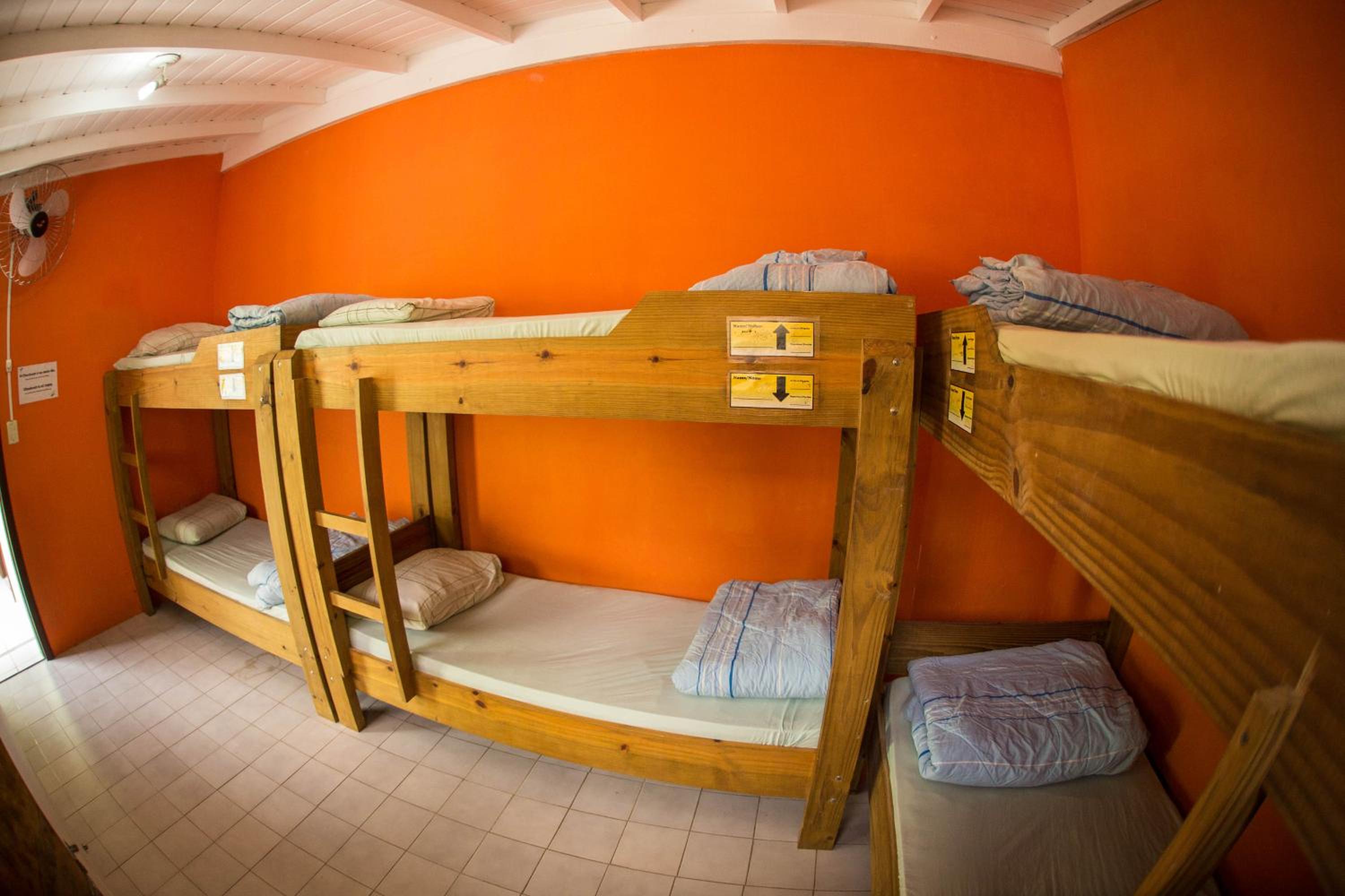 Geckos Hostel