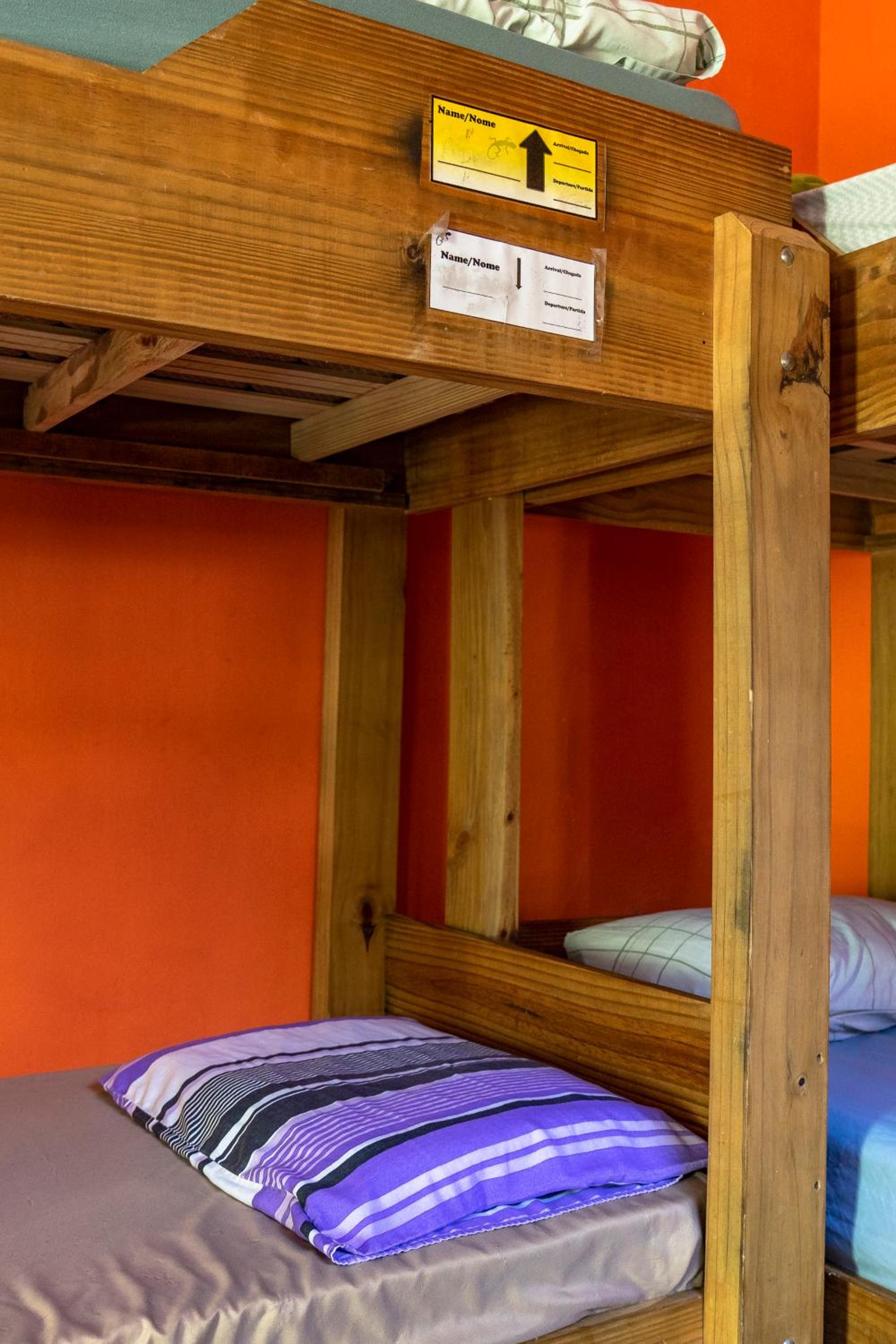 Geckos Hostel