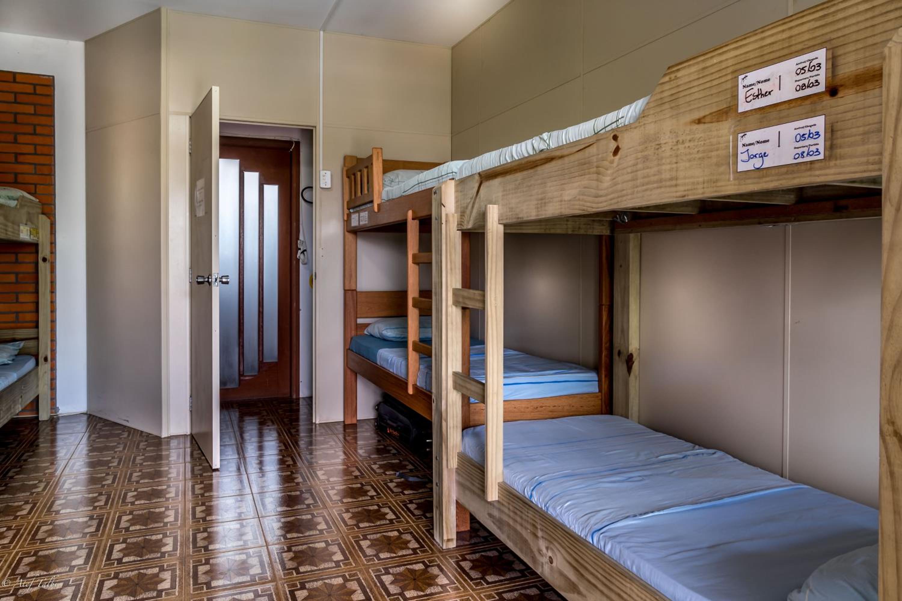 Geckos Hostel