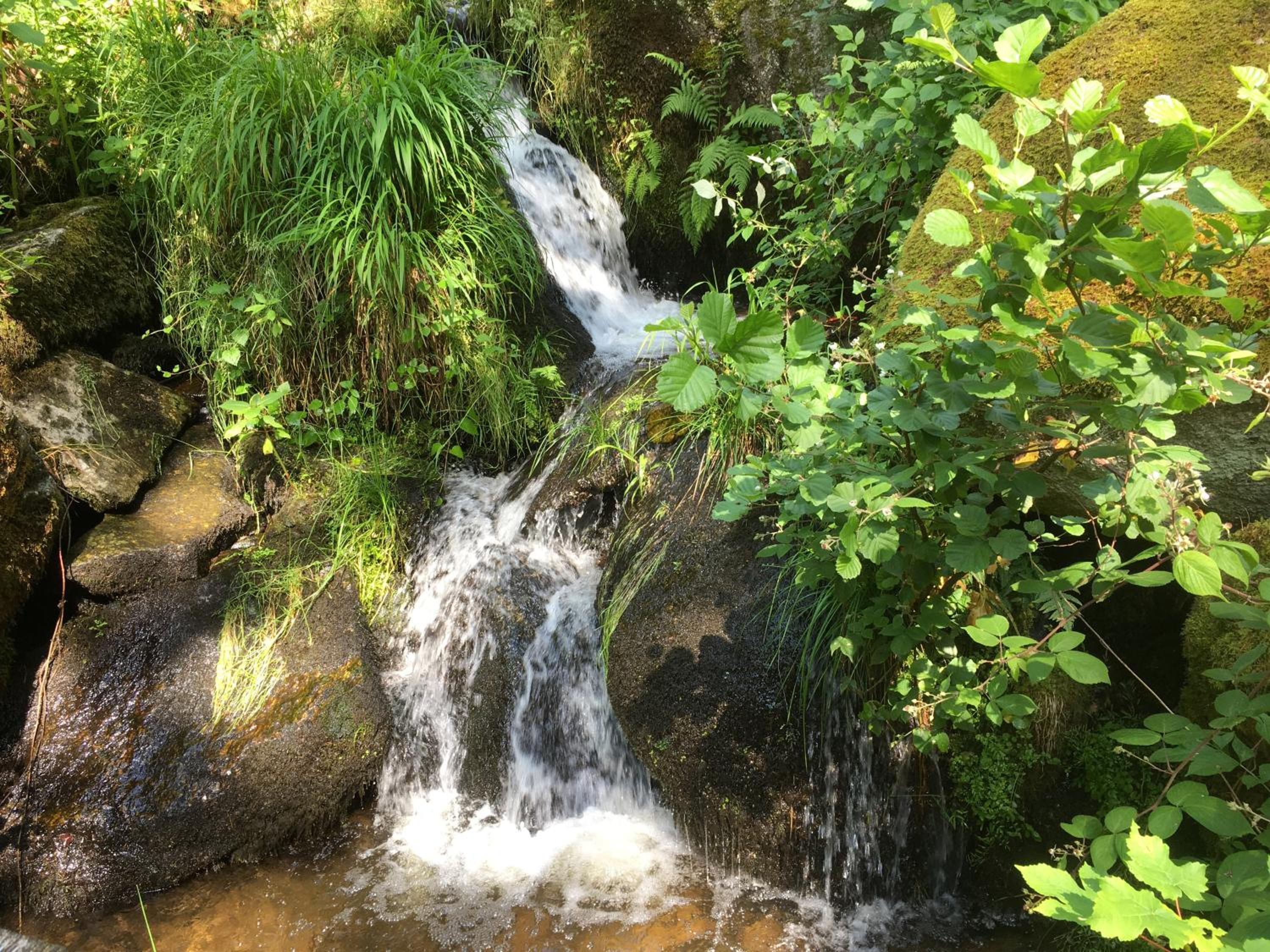 Photo 19