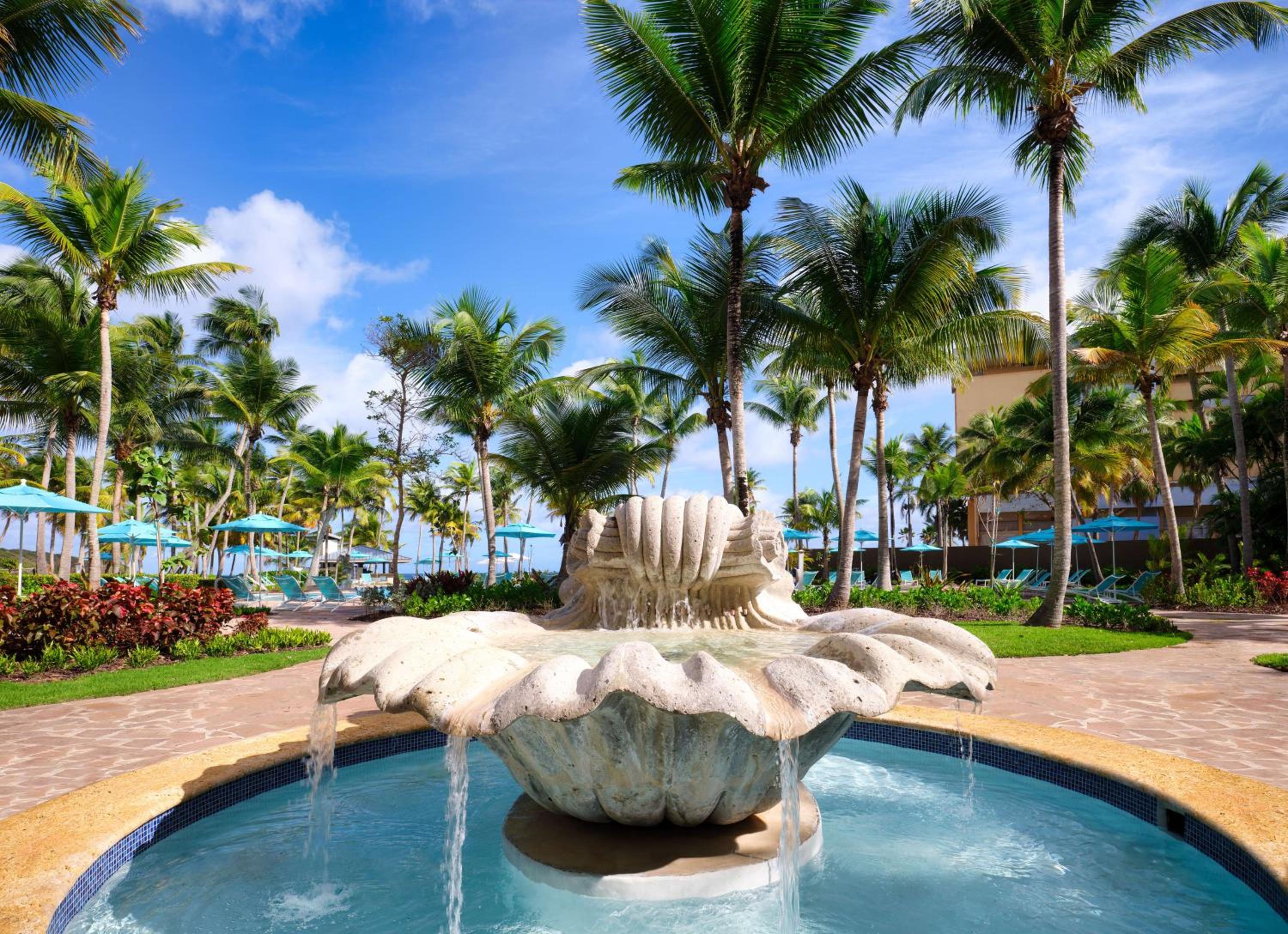 Hyatt Vacation Club at Hacienda del Mar - Photo 17