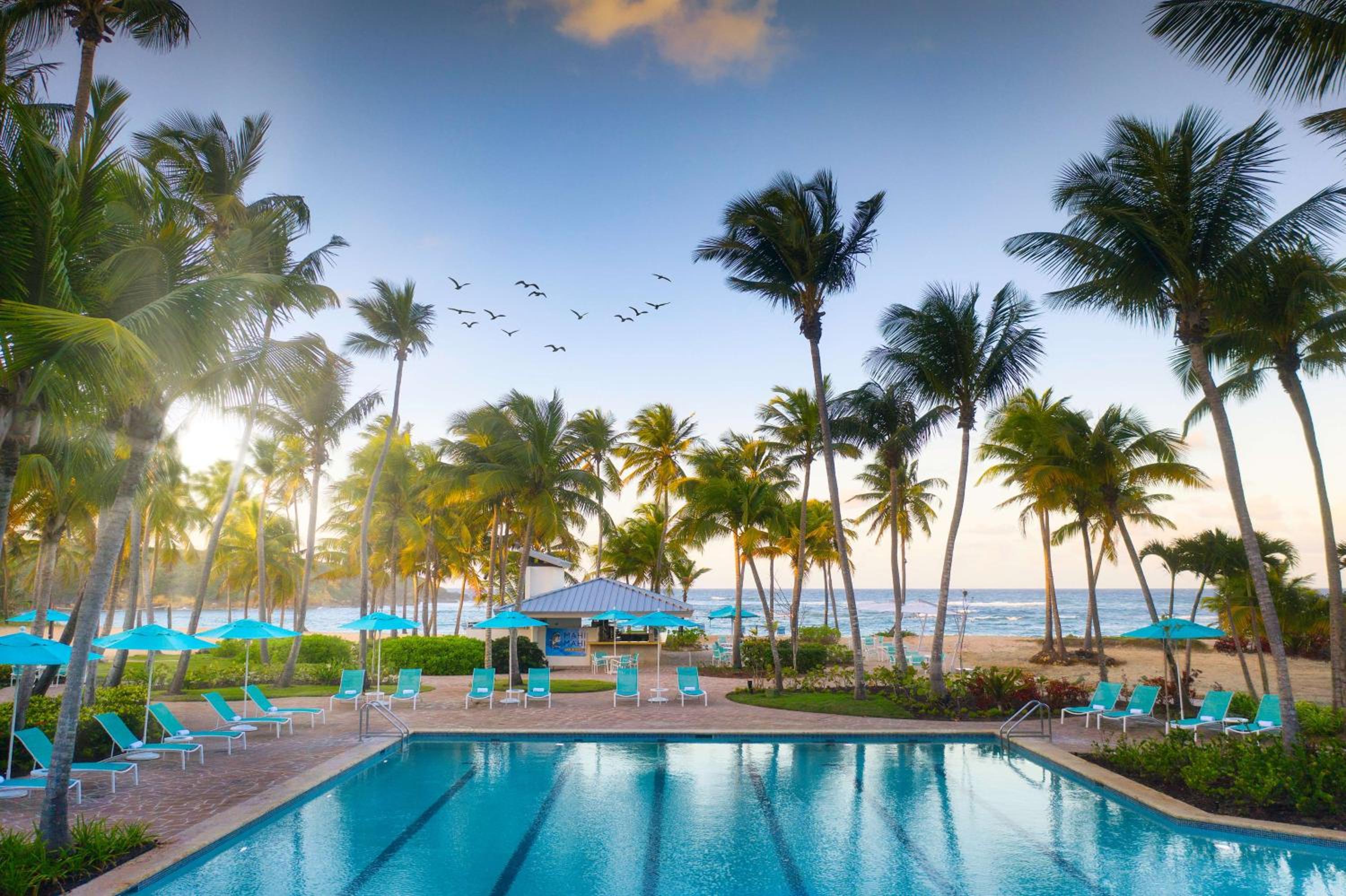 Hyatt Vacation Club at Hacienda del Mar - Photo 2