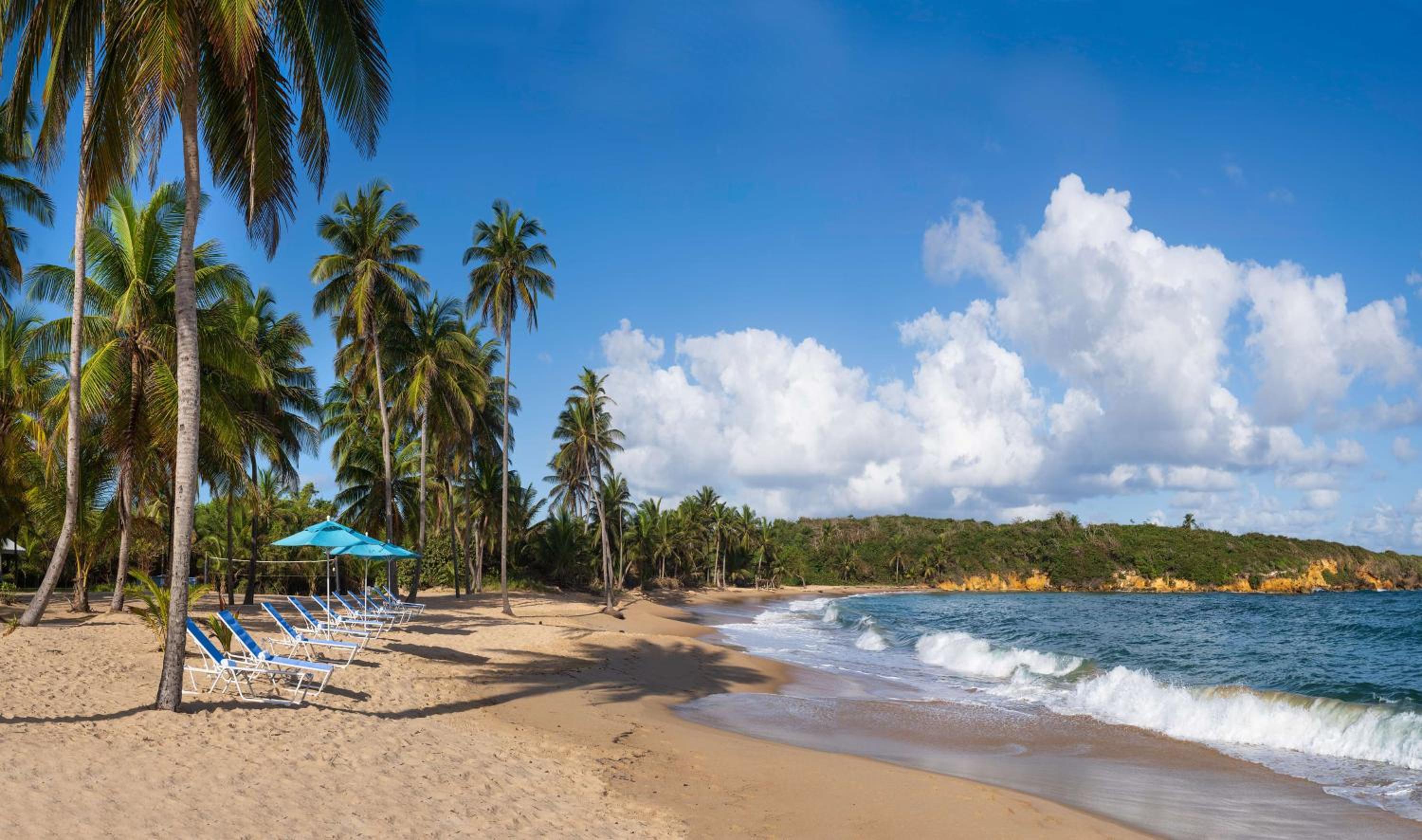 Hyatt Vacation Club at Hacienda del Mar - Photo 5