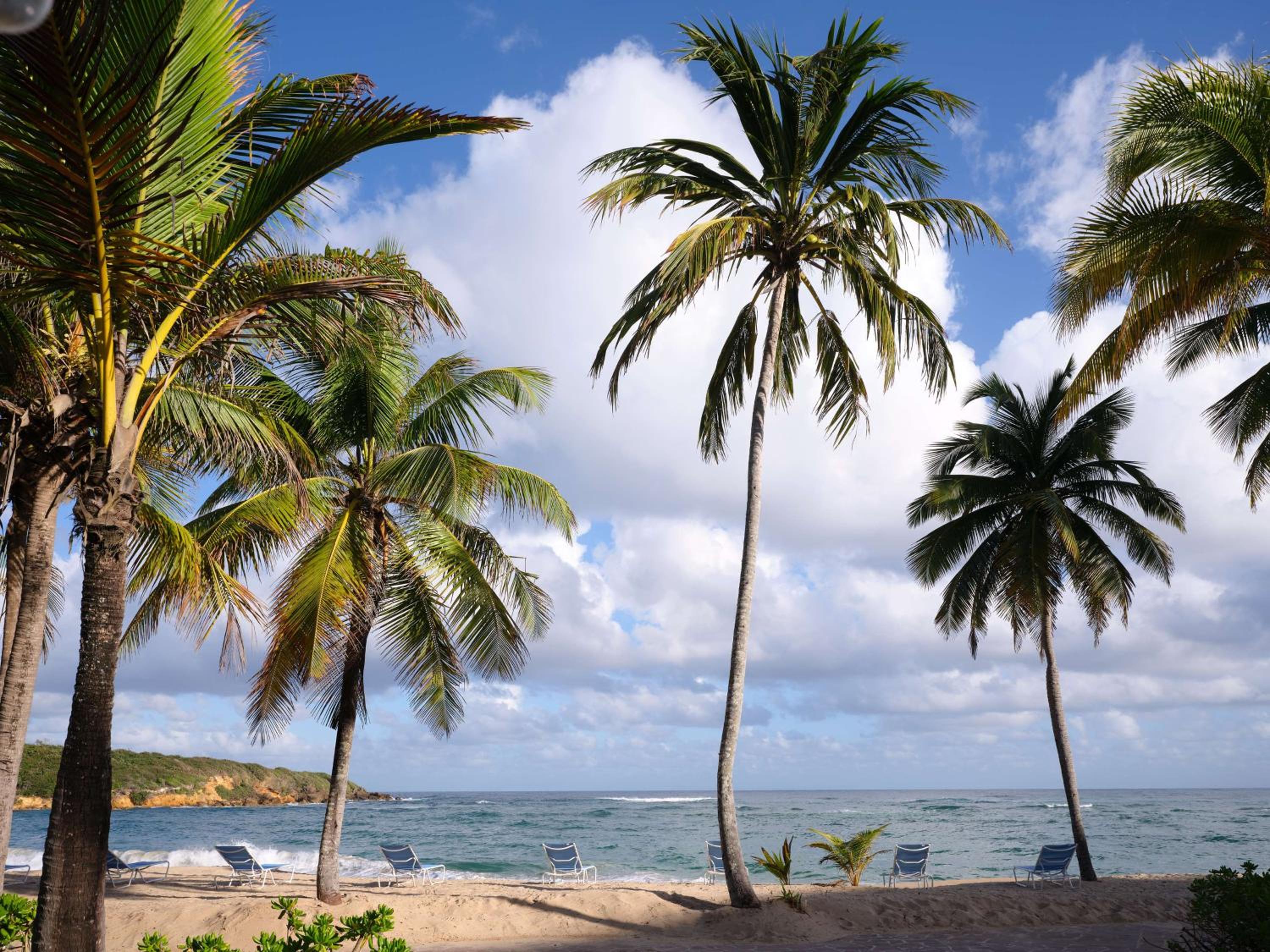 Hyatt Vacation Club at Hacienda del Mar - Photo 8