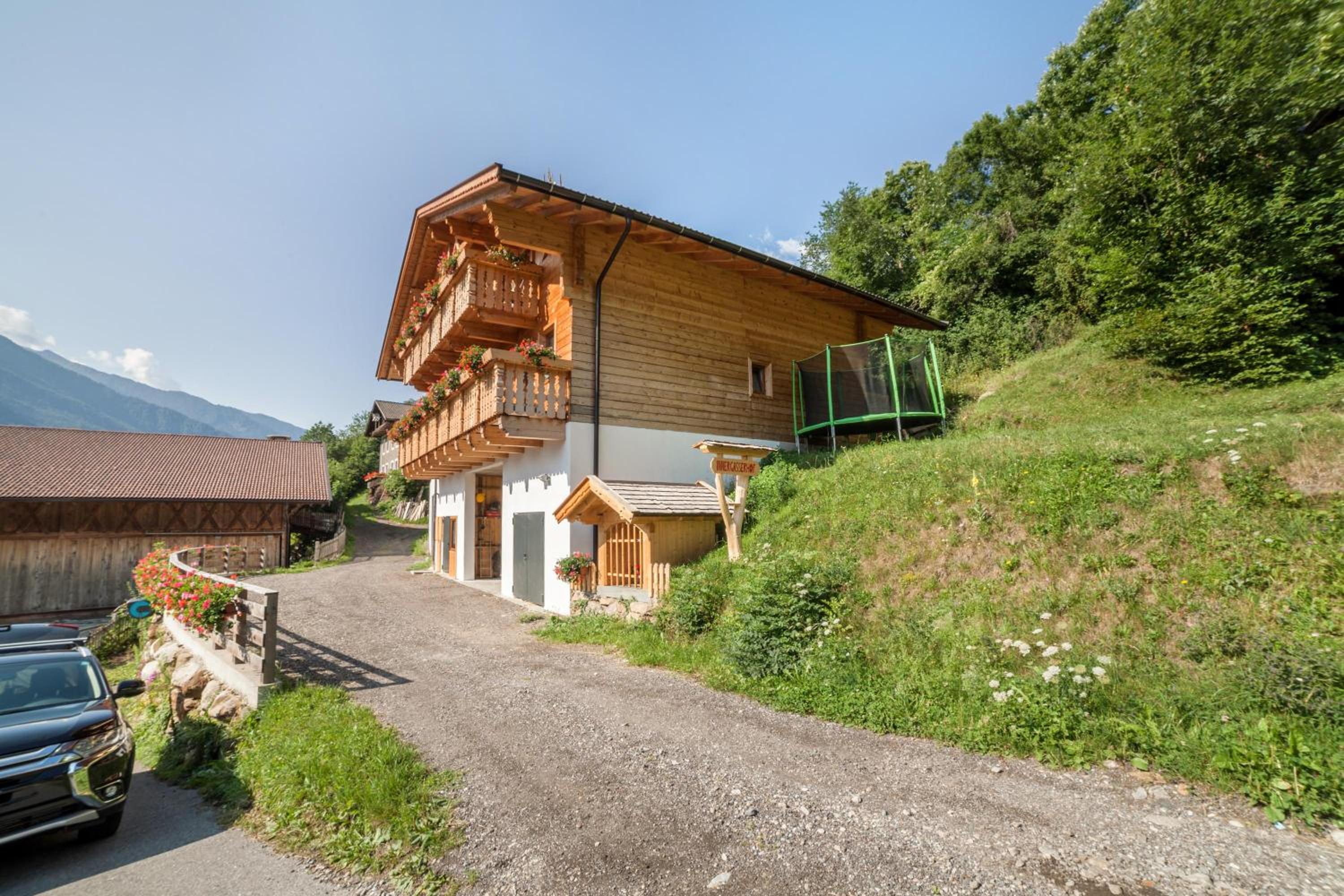 Innergasserhof Ferienwohnung Edelweiss view 4