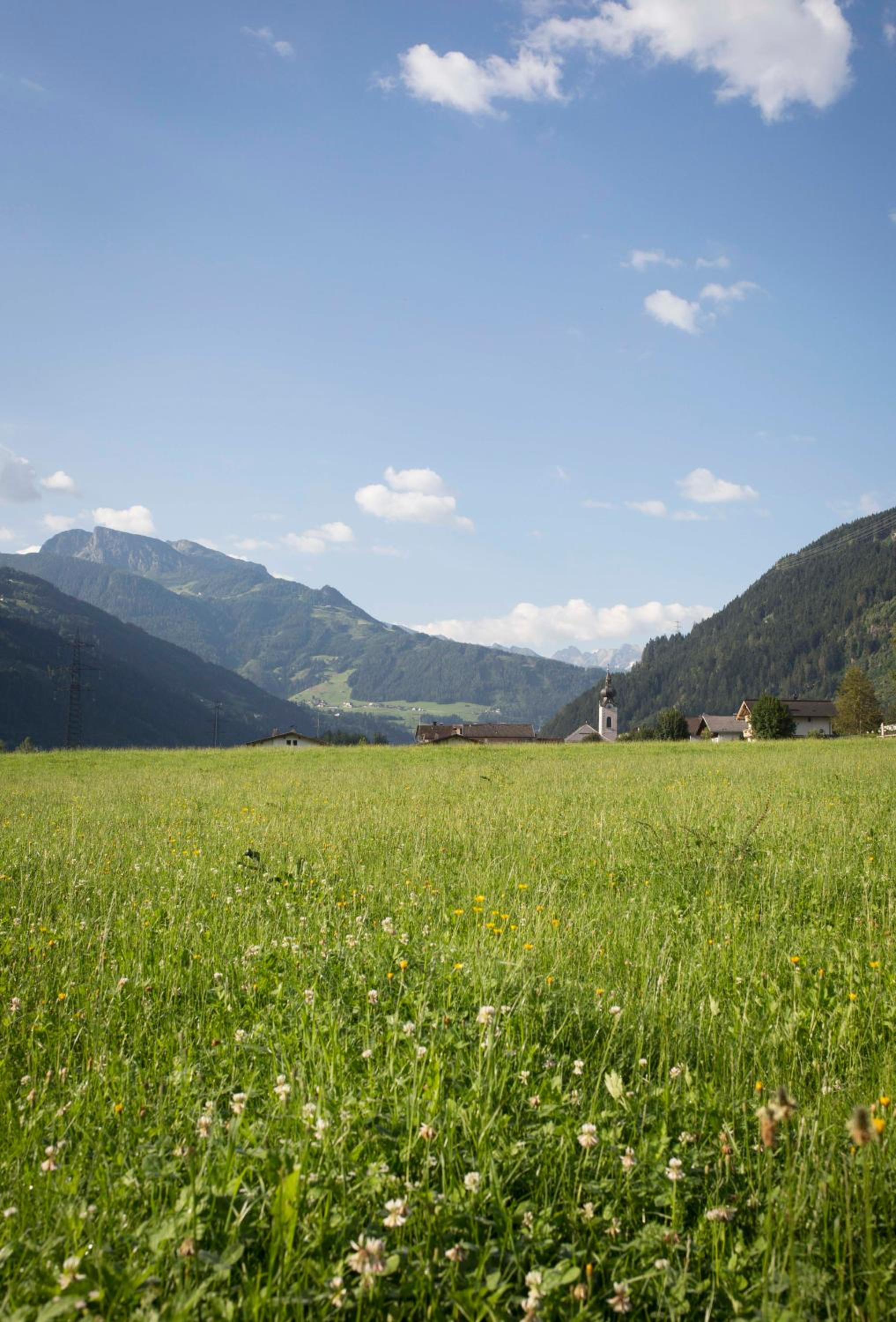 Ledererhof