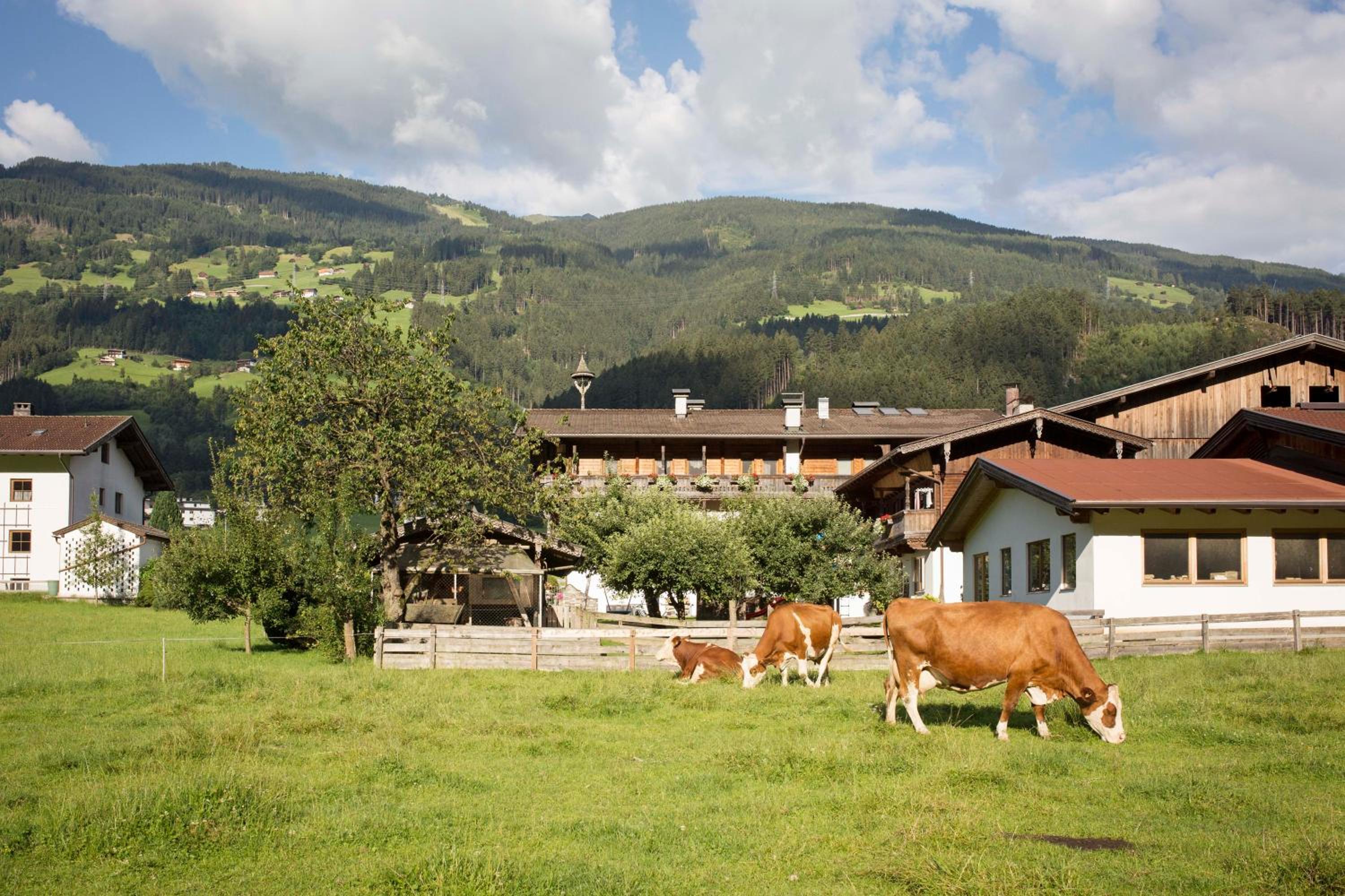 Ledererhof