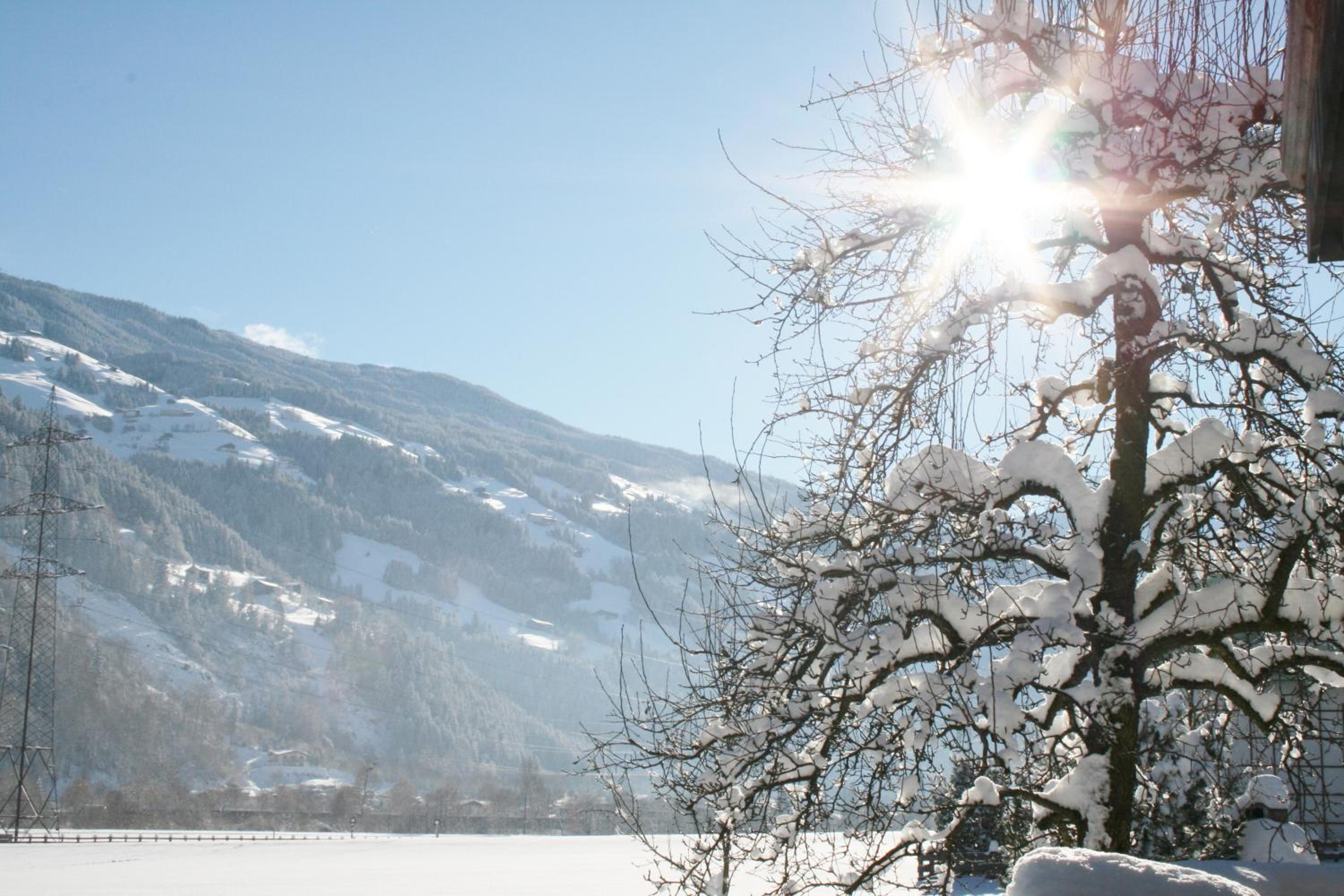 Ledererhof