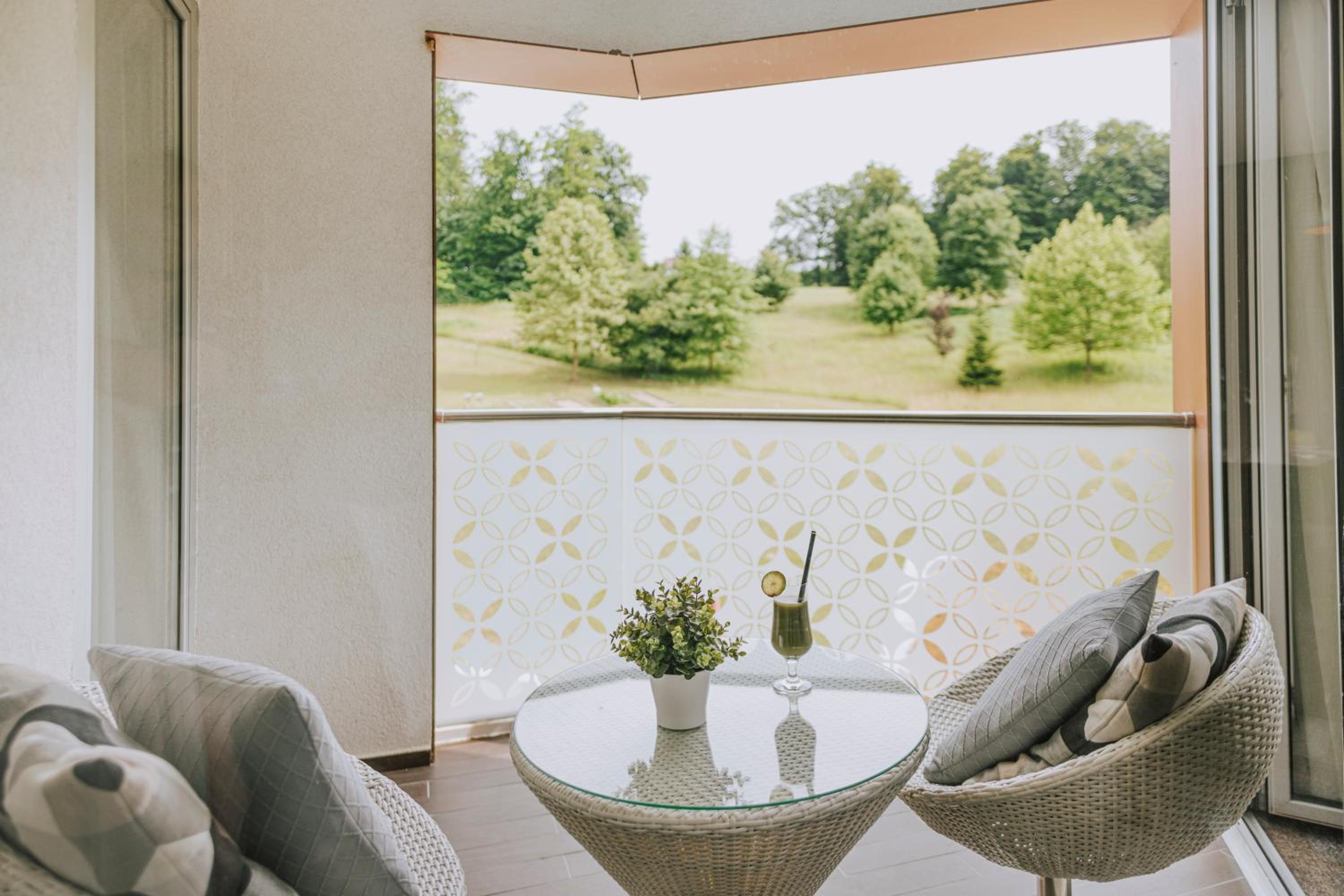 Hotel Terme Sveti Martin - Image 1