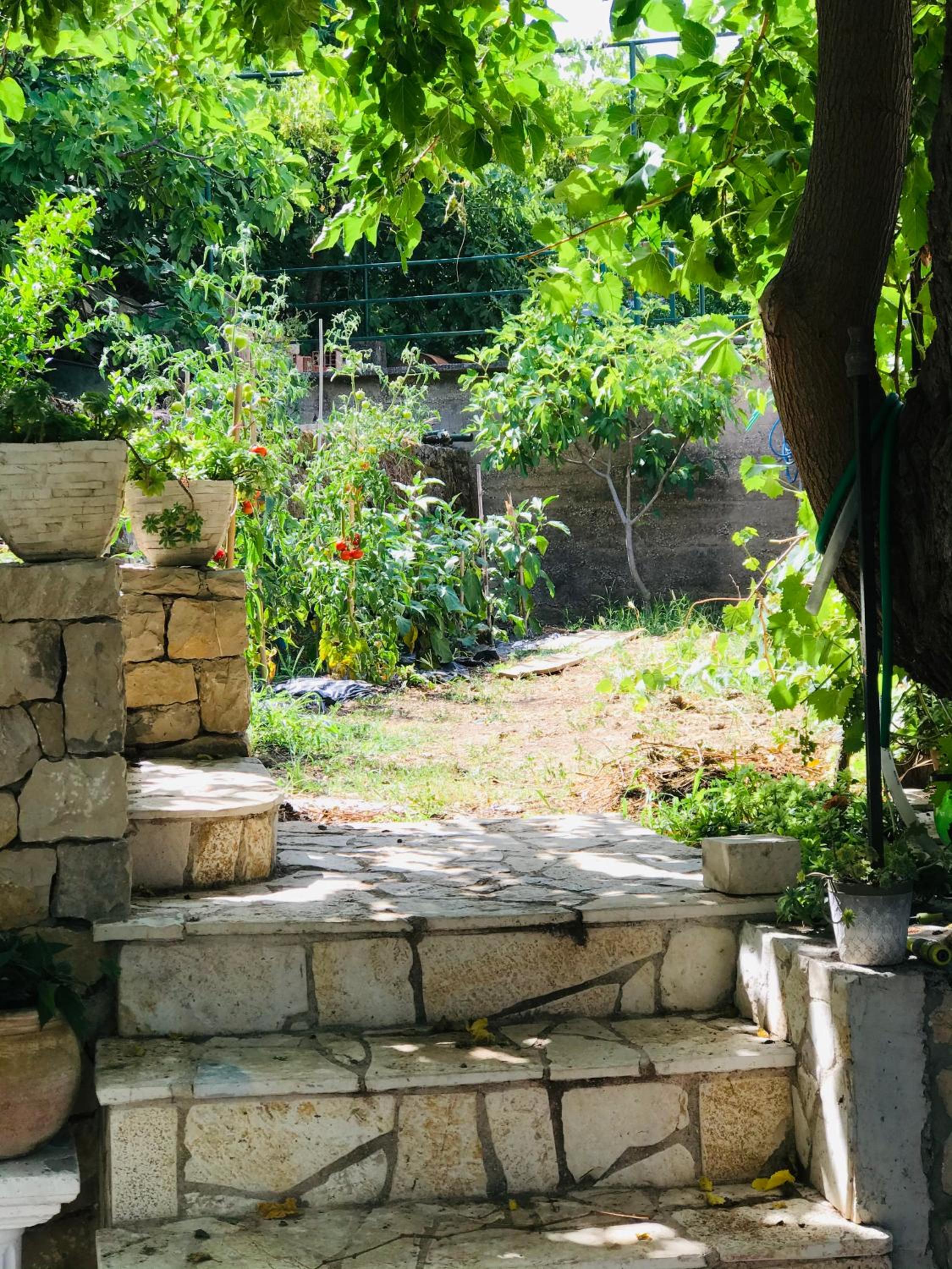 Photo 25