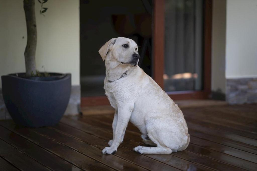 Chata Emily, photo 33