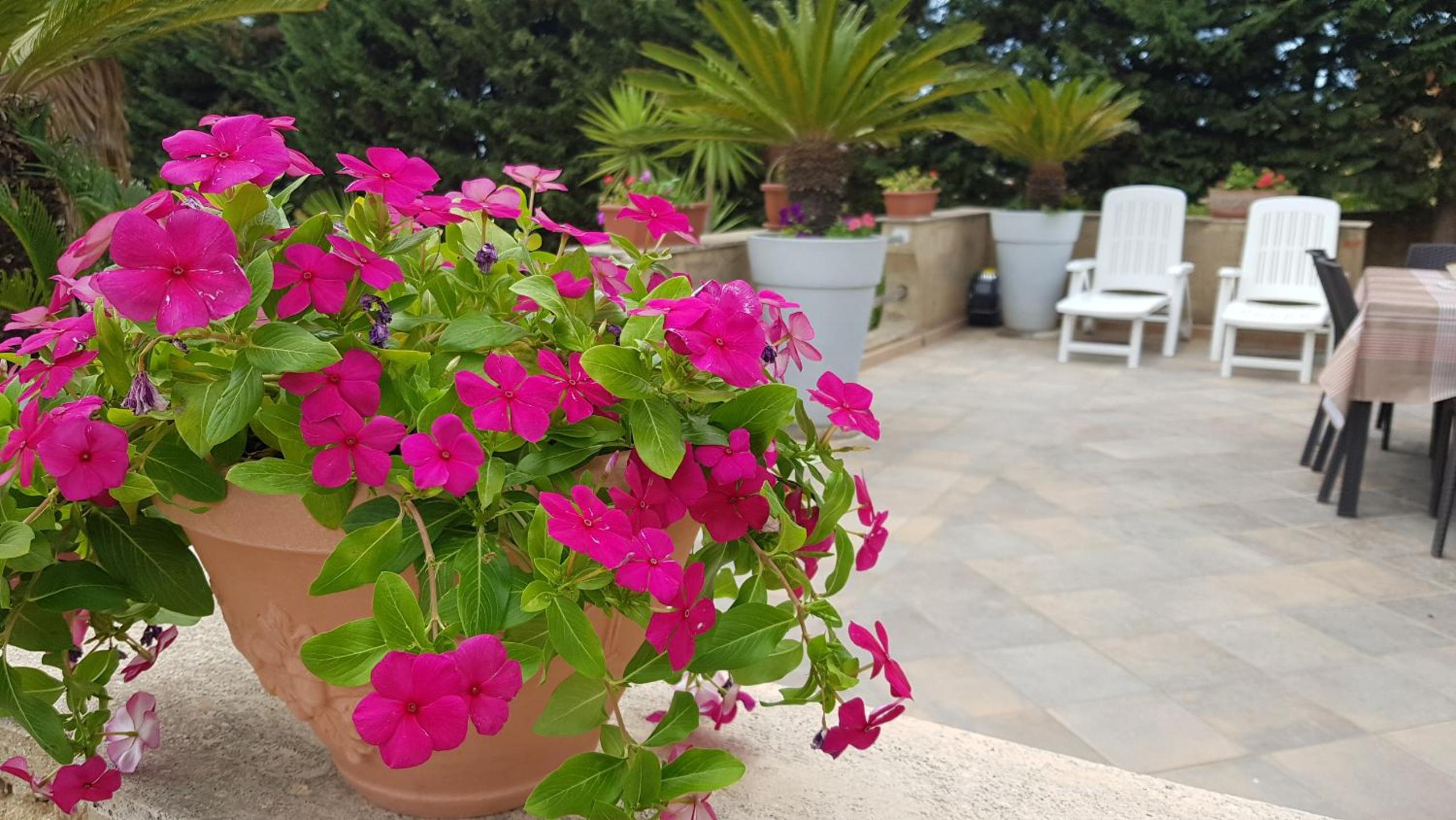 Casa Vacanze Villa Tropia view 3