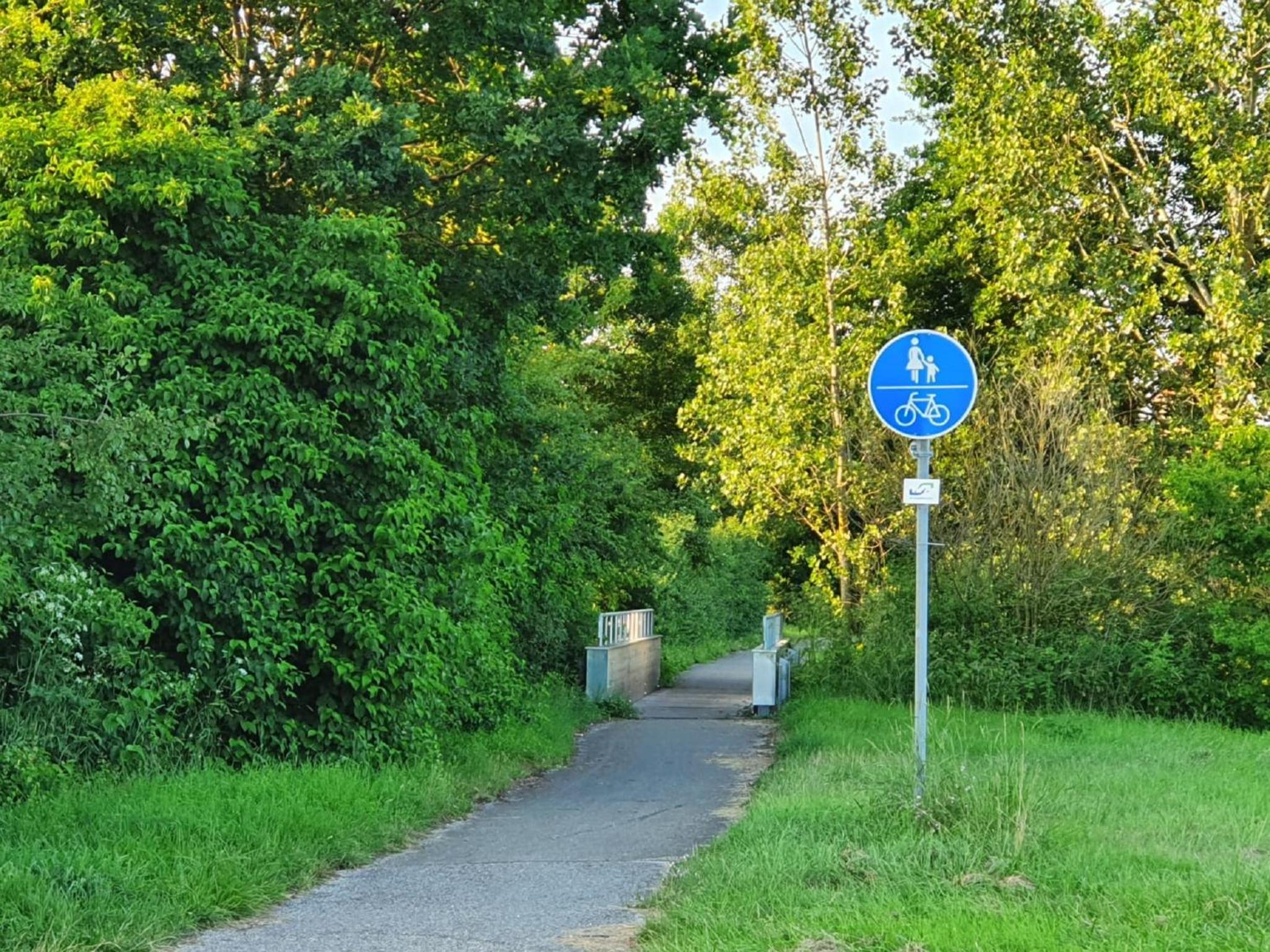 Photo 47