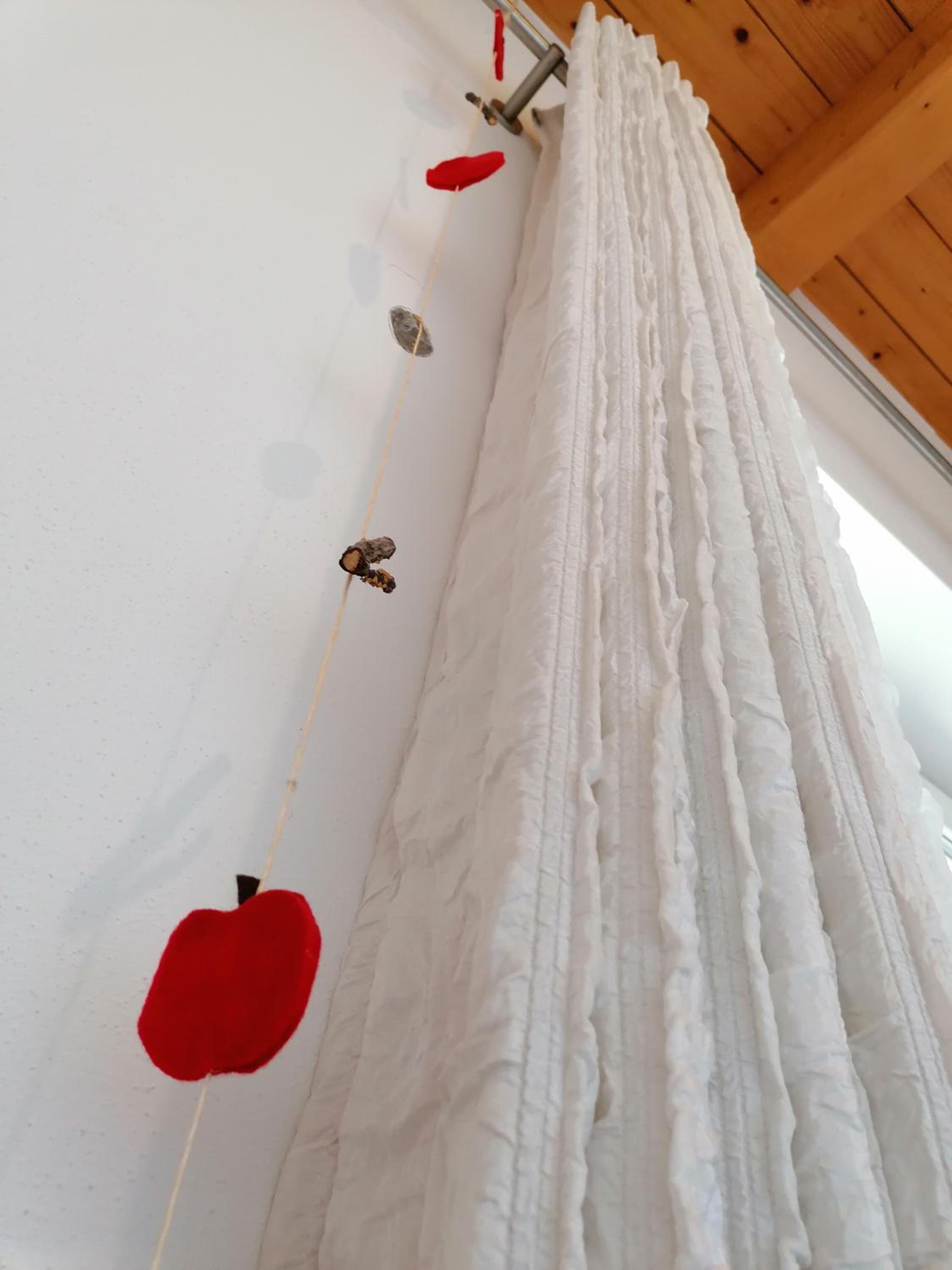 Peterseil's Radl Zimmer