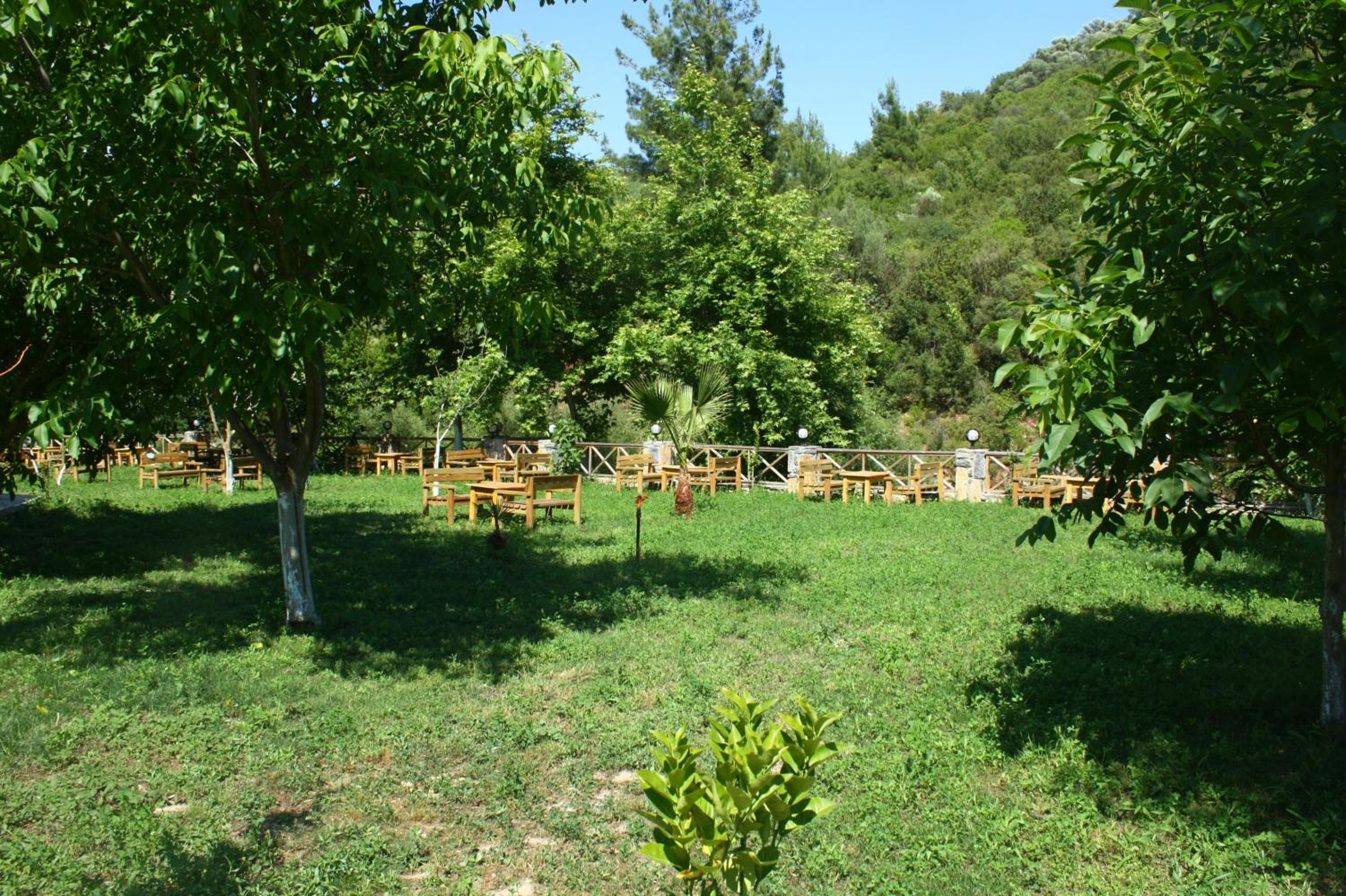 Photo 25