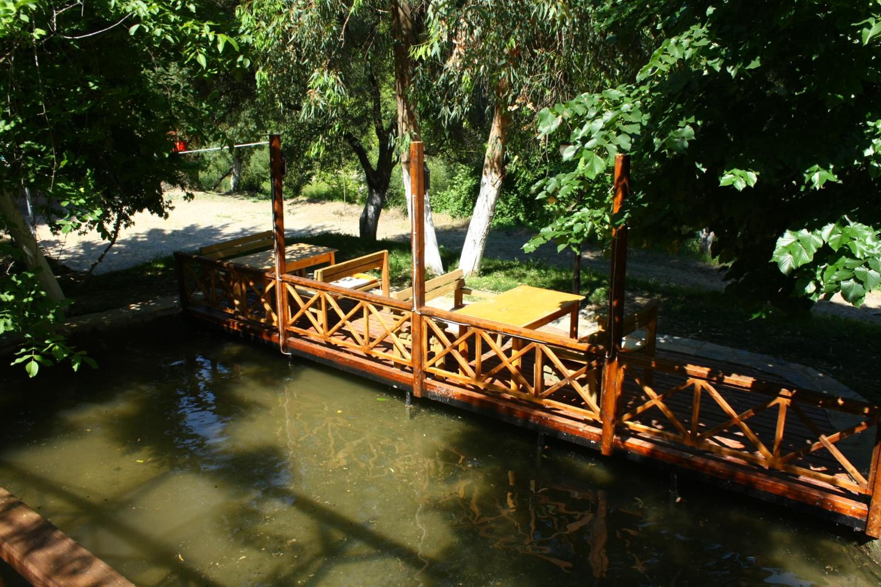 Photo 31