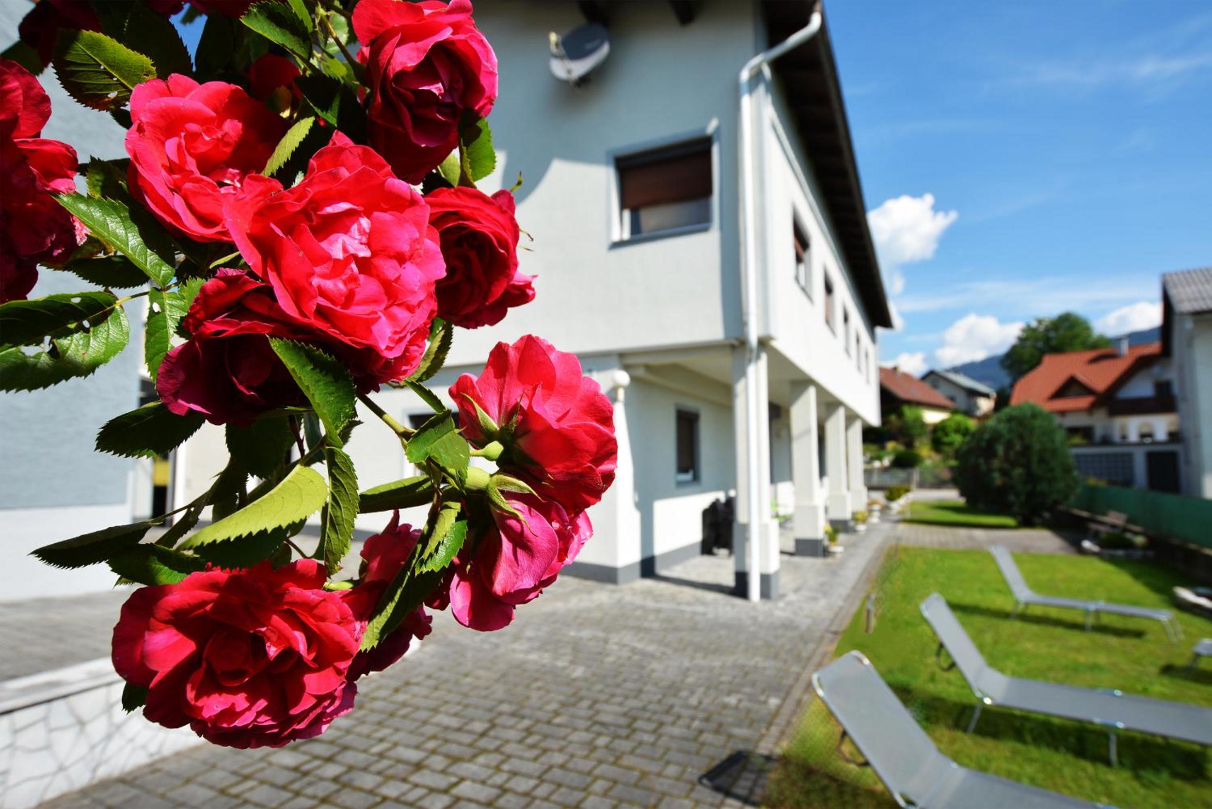 Alpenblick - modernes und großzügiges Apartment view 2