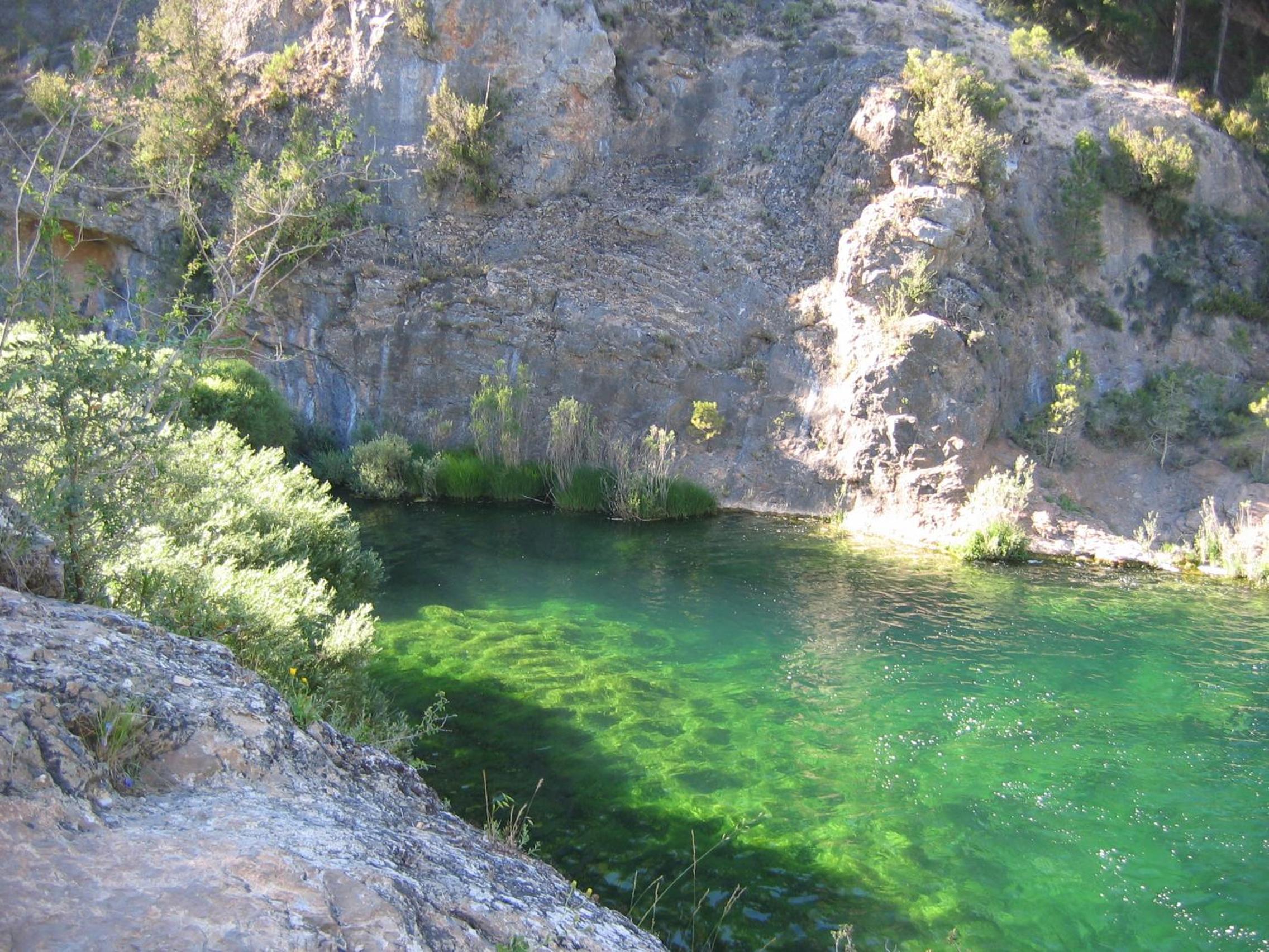 Photo 45