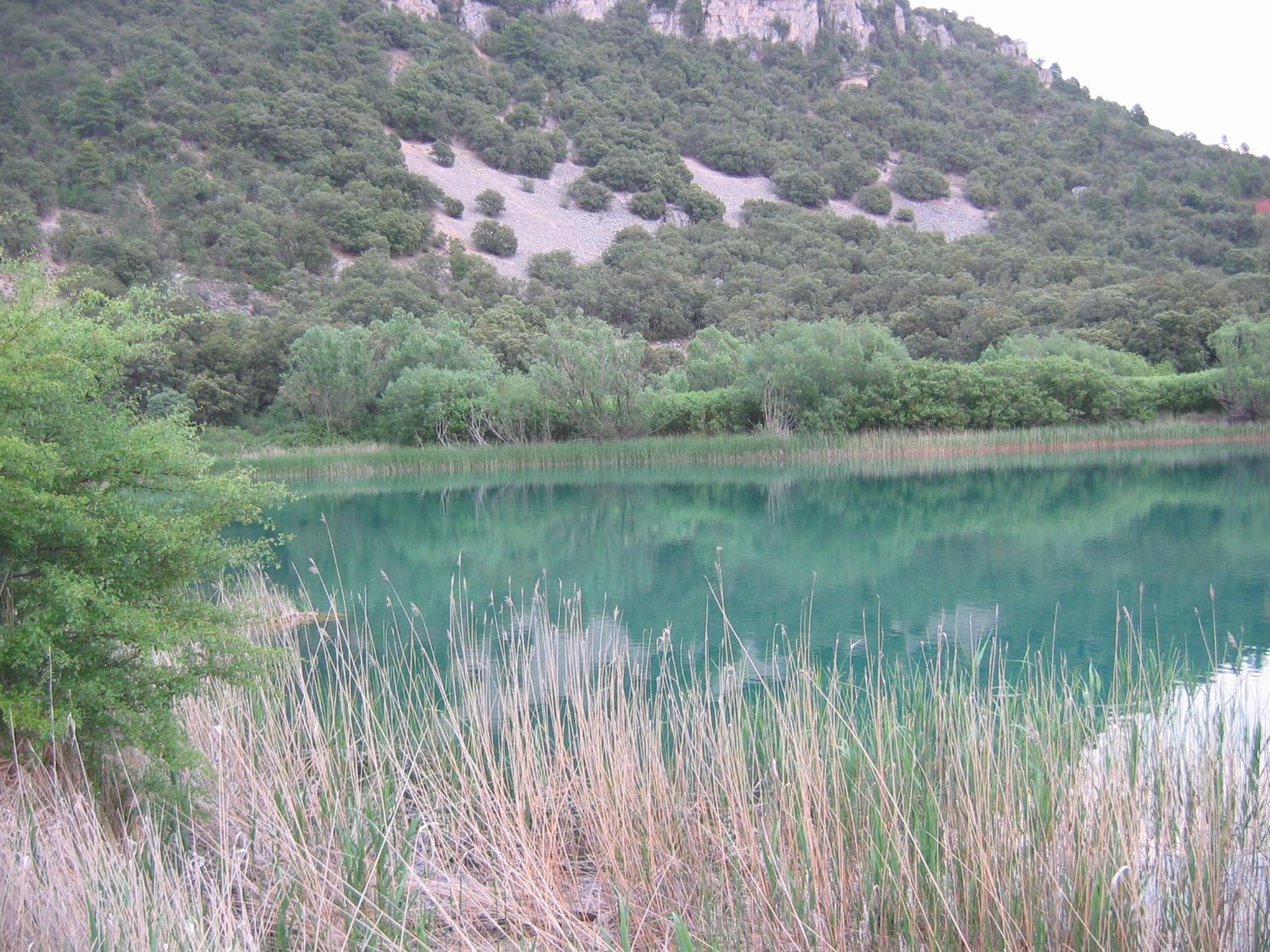 Photo 44