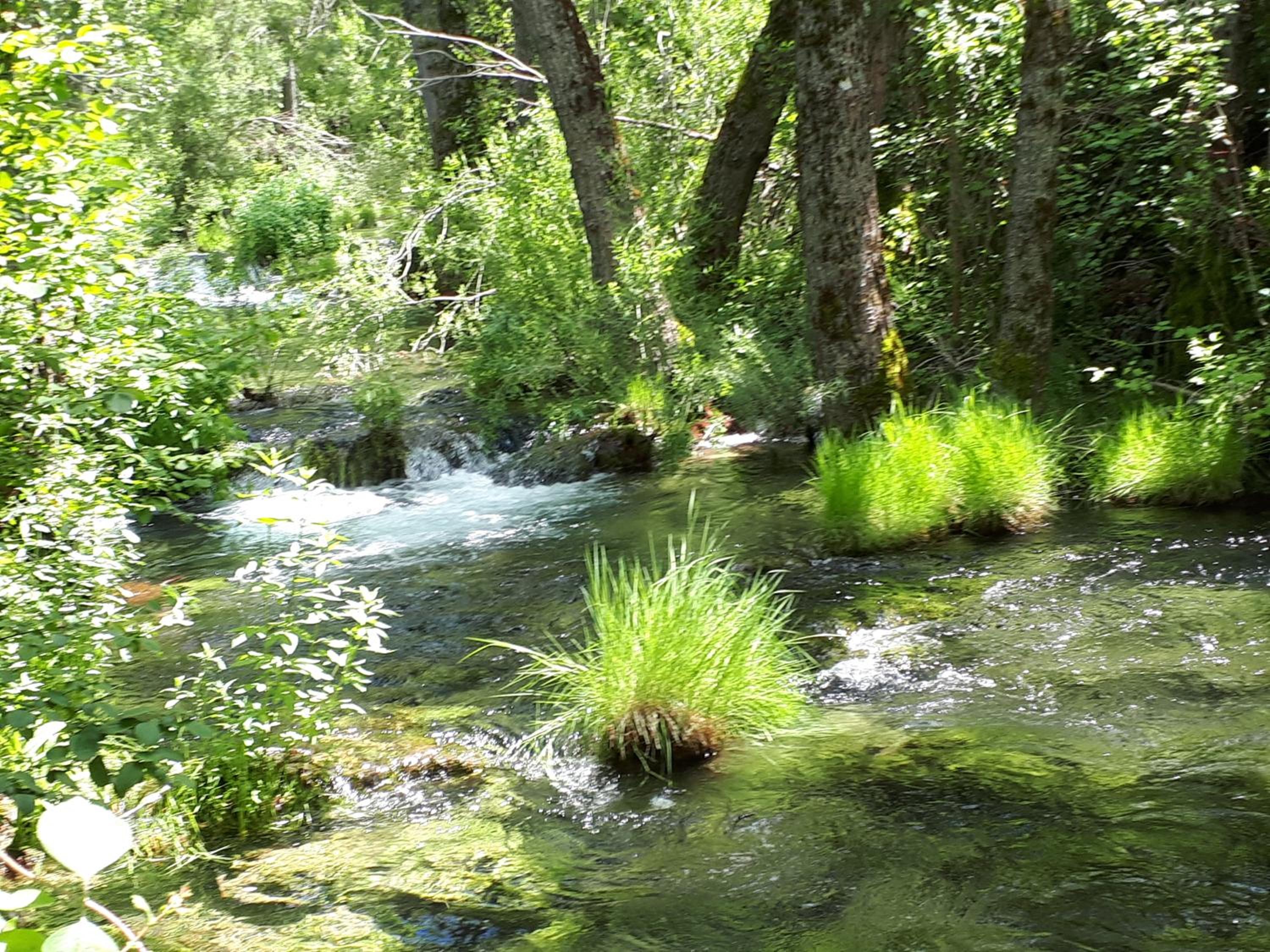 Photo 43